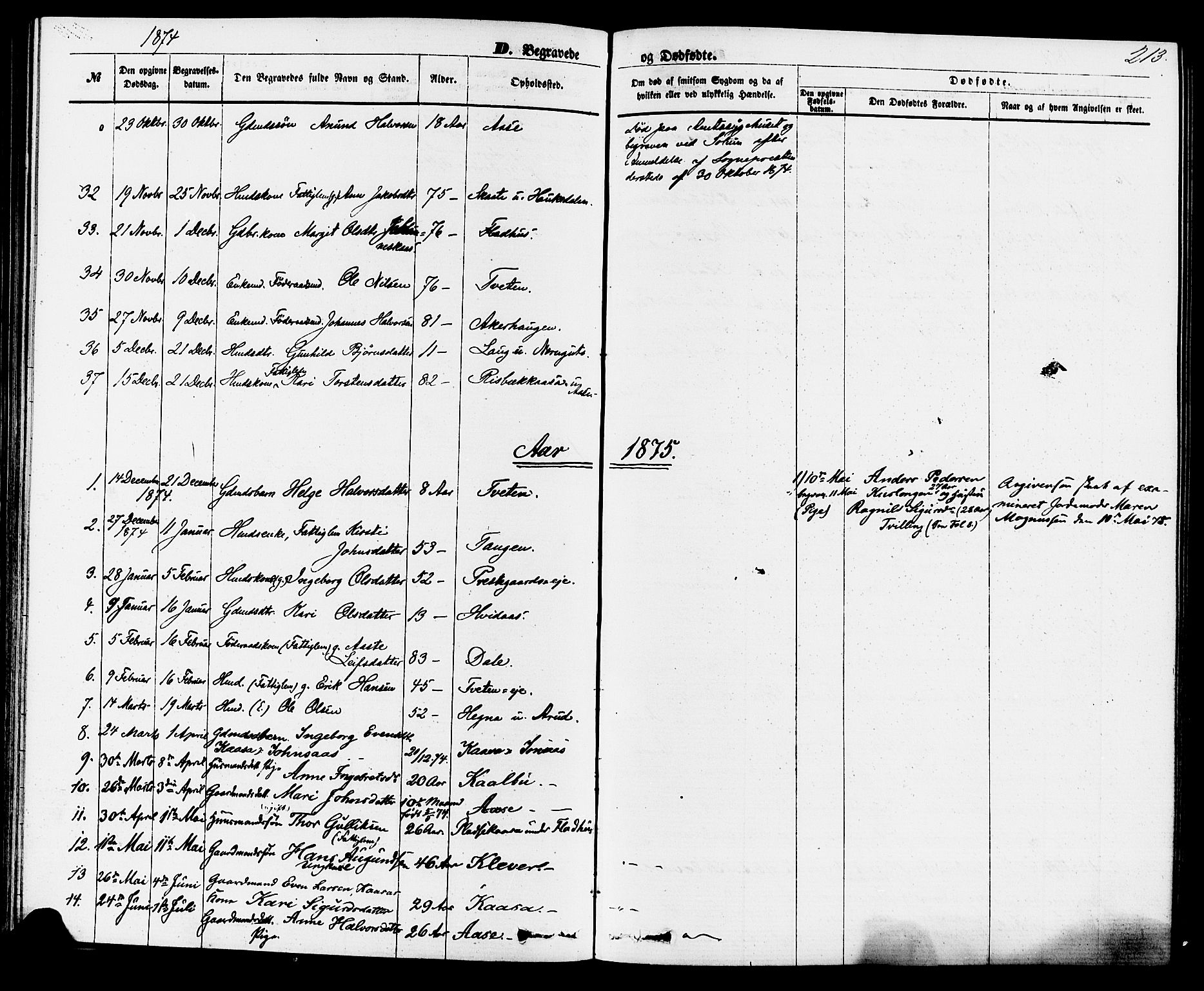 Sauherad kirkebøker, AV/SAKO-A-298/F/Fa/L0008: Parish register (official) no. I 8, 1873-1886, p. 213
