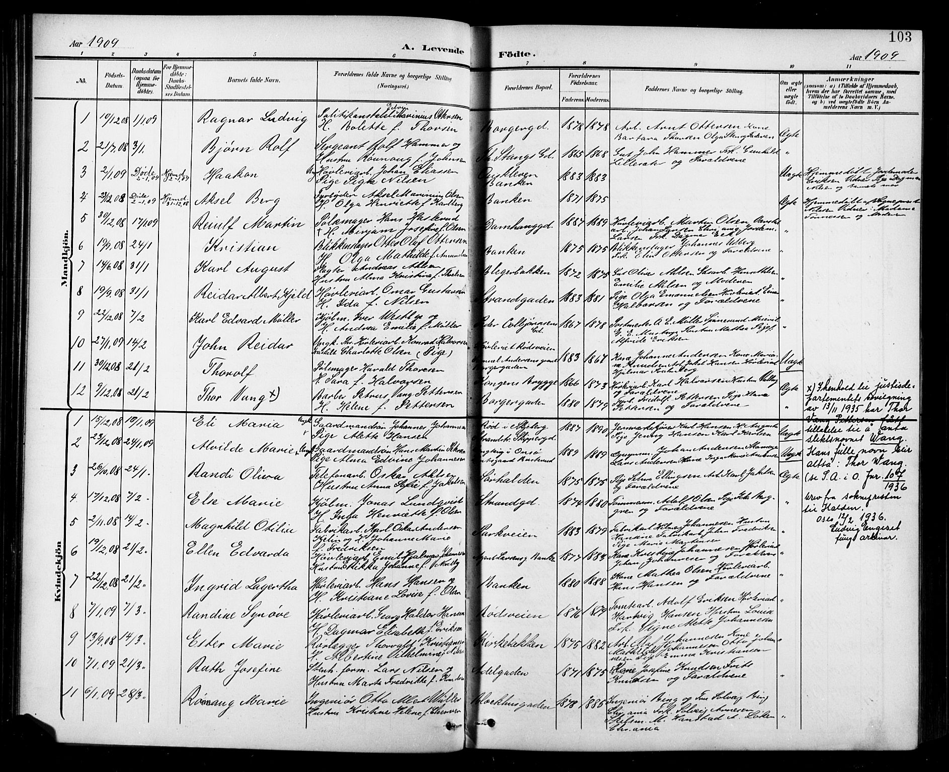 Halden prestekontor Kirkebøker, SAO/A-10909/G/Ga/L0010: Parish register (copy) no. 10, 1900-1923, p. 103