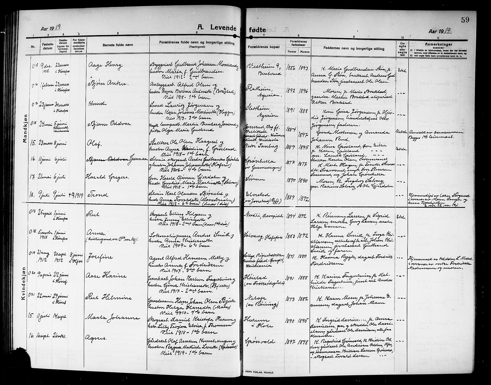 Norderhov kirkebøker, AV/SAKO-A-237/G/Ga/L0009: Parish register (copy) no. I 9, 1913-1920, p. 59