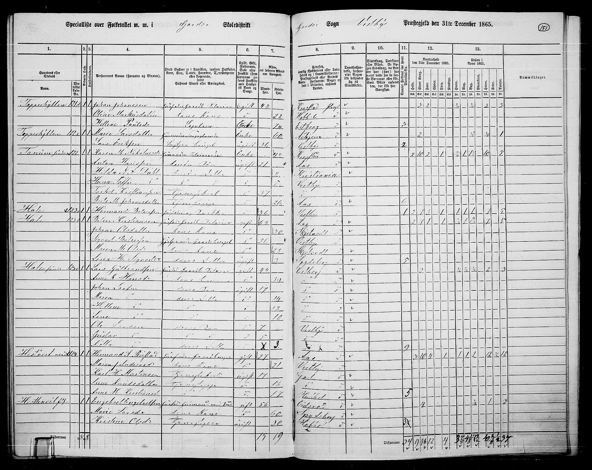 RA, 1865 census for Vestby, 1865, p. 131