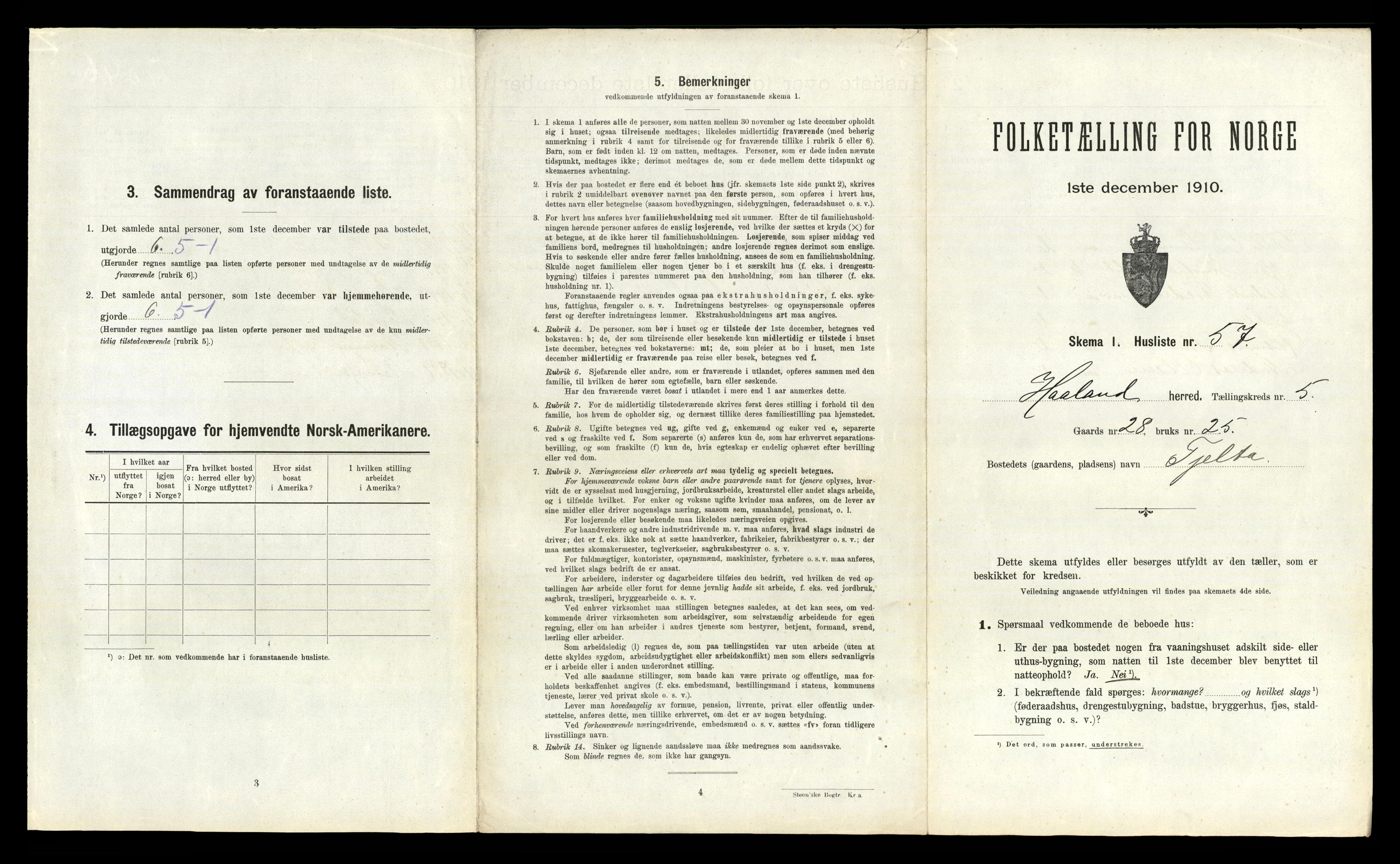 RA, 1910 census for Håland, 1910, p. 903