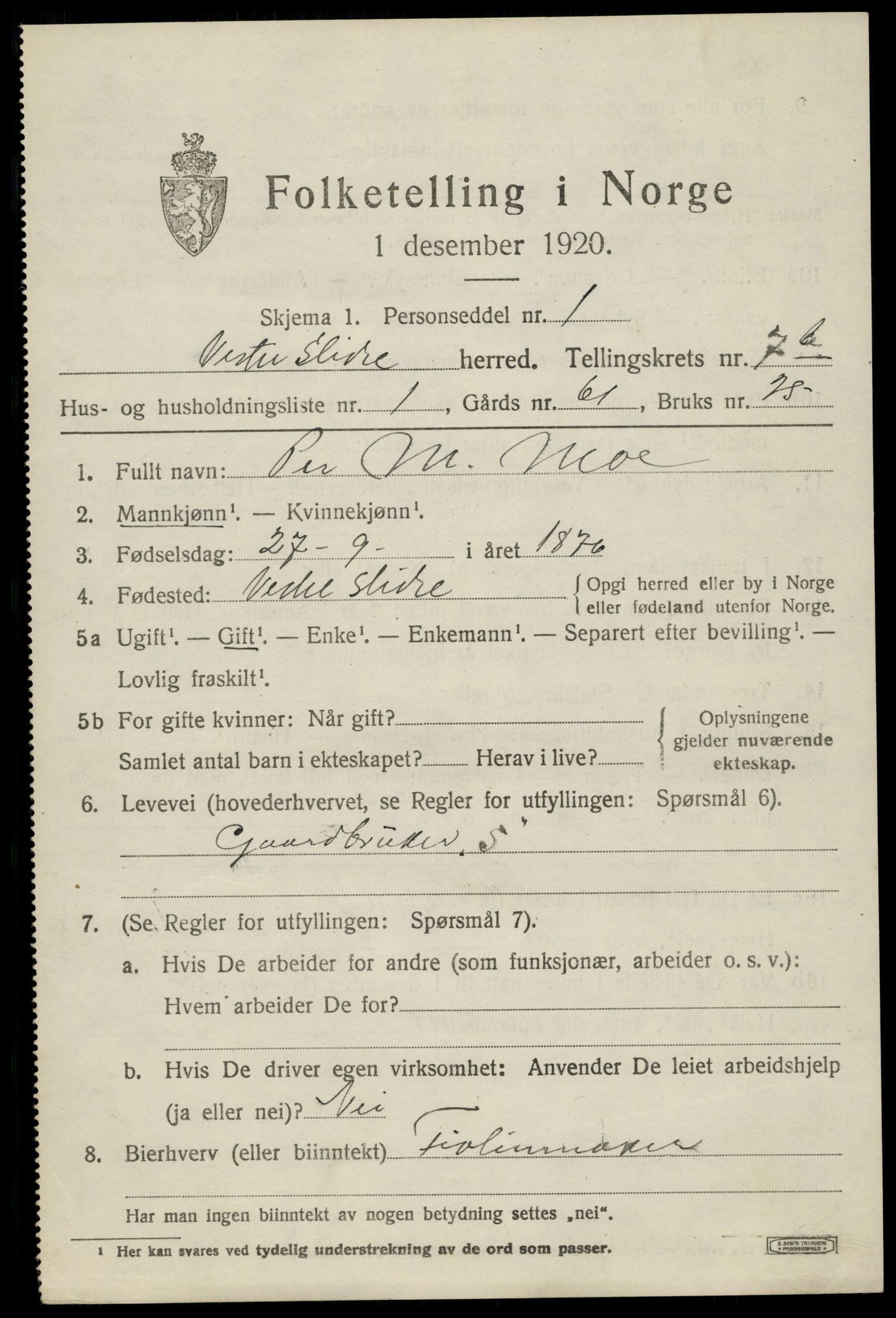 SAH, 1920 census for Vestre Slidre, 1920, p. 4034
