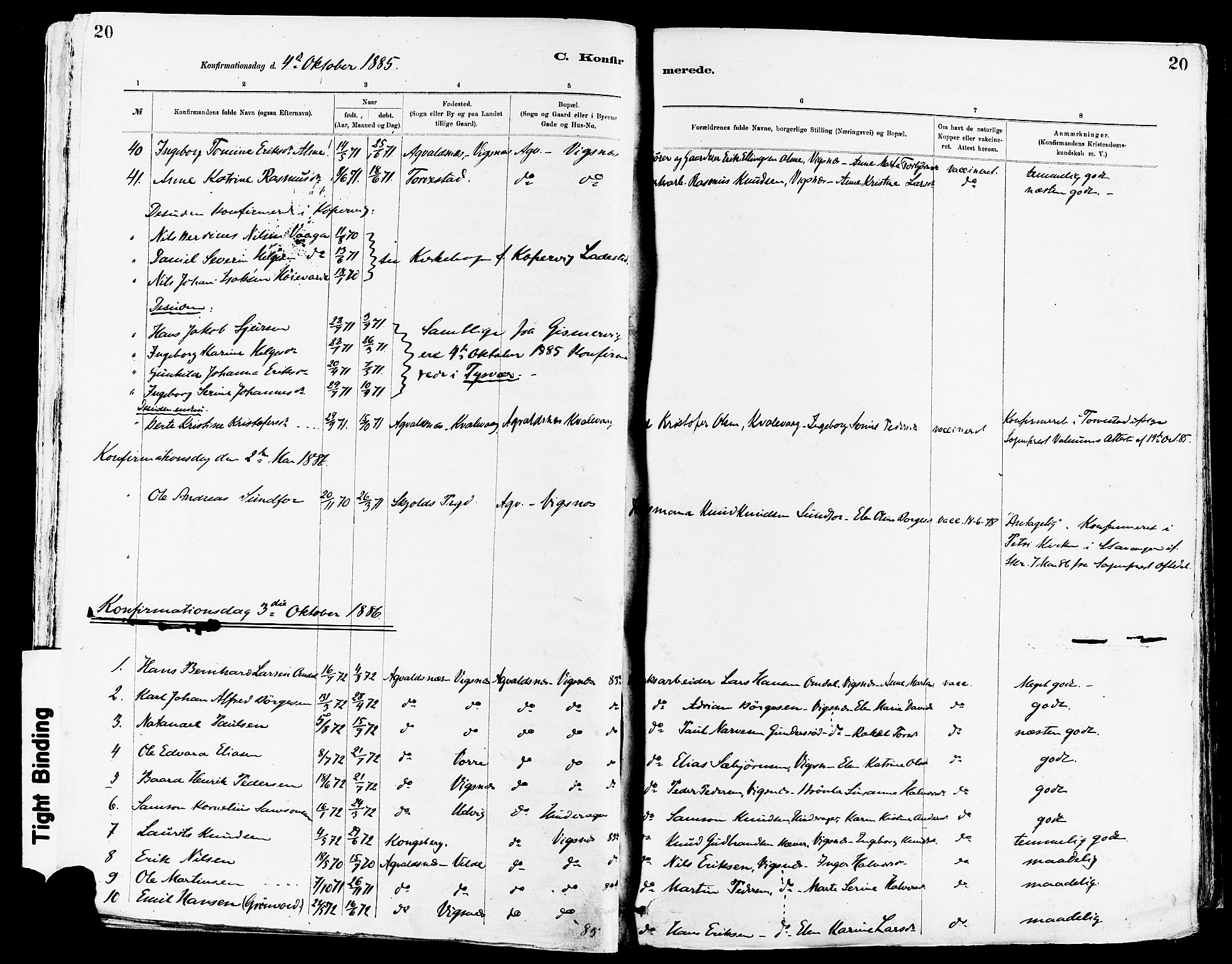 Avaldsnes sokneprestkontor, SAST/A -101851/H/Ha/Haa/L0015: Parish register (official) no. A 15, 1880-1906, p. 20