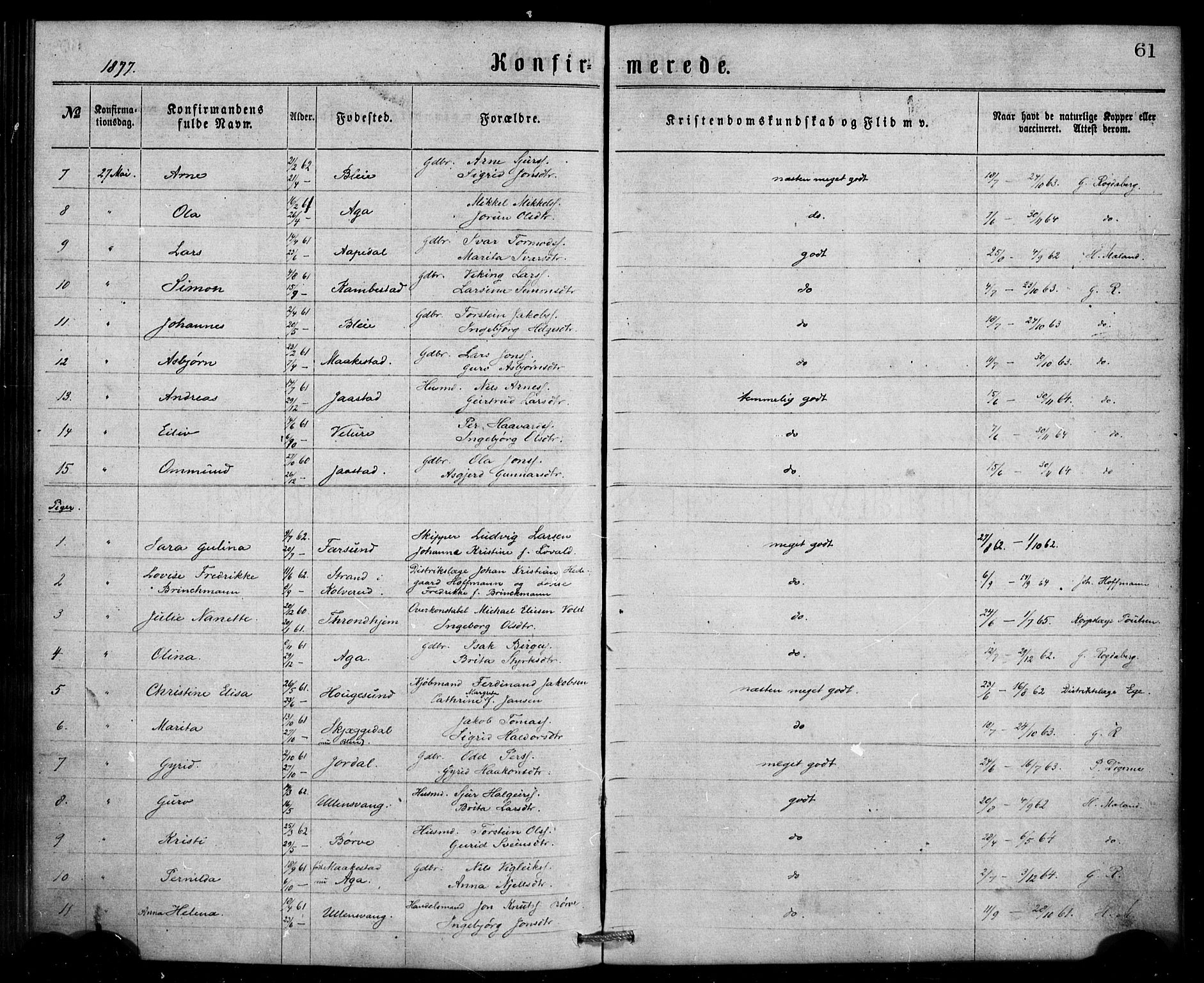 Ullensvang sokneprestembete, AV/SAB-A-78701/H/Haa: Parish register (official) no. A 13, 1867-1879, p. 61