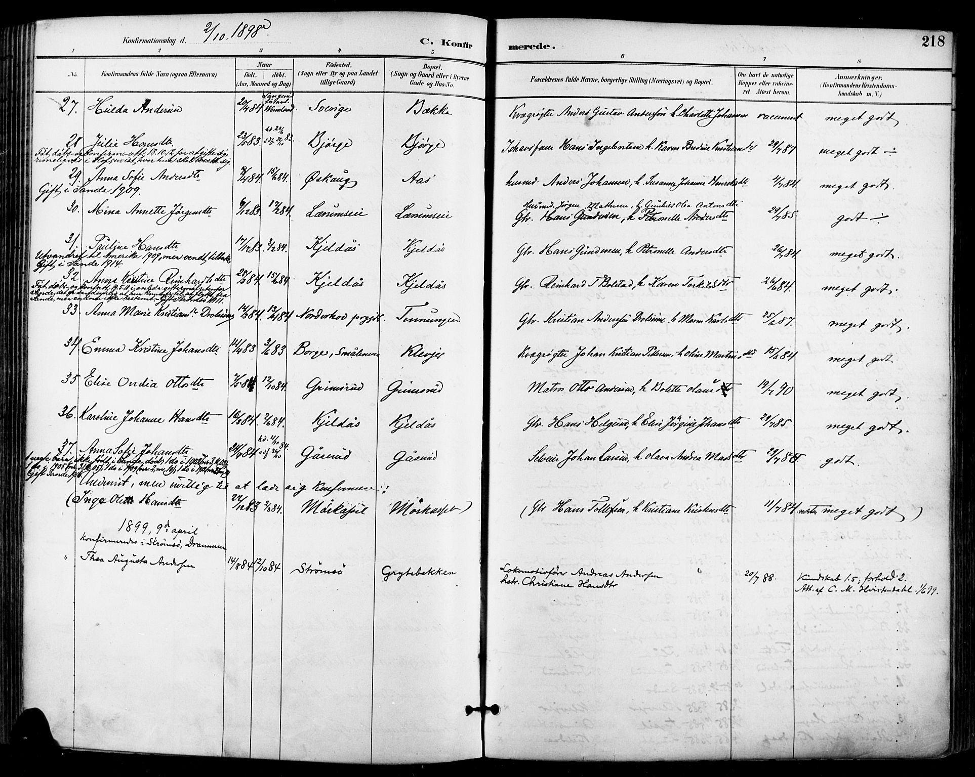 Sande Kirkebøker, AV/SAKO-A-53/F/Fa/L0007: Parish register (official) no. 7, 1888-1903, p. 218