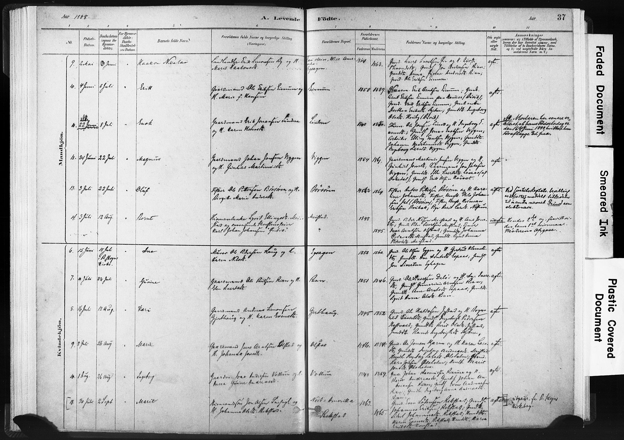 Ministerialprotokoller, klokkerbøker og fødselsregistre - Sør-Trøndelag, SAT/A-1456/665/L0773: Parish register (official) no. 665A08, 1879-1905, p. 37