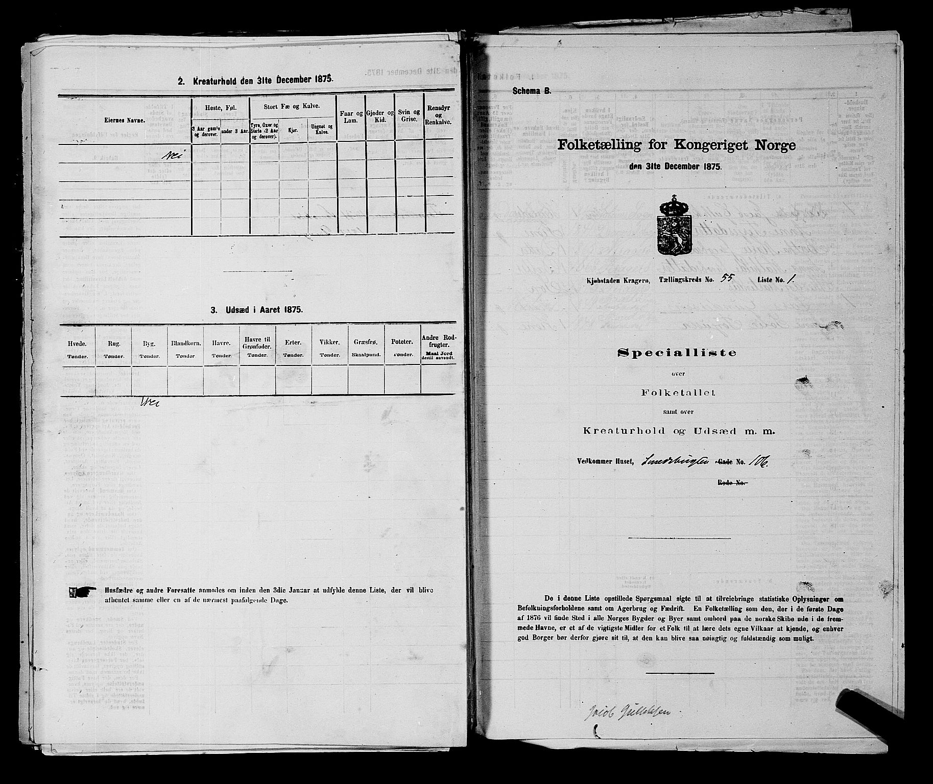 SAKO, 1875 census for 0801P Kragerø, 1875, p. 1209