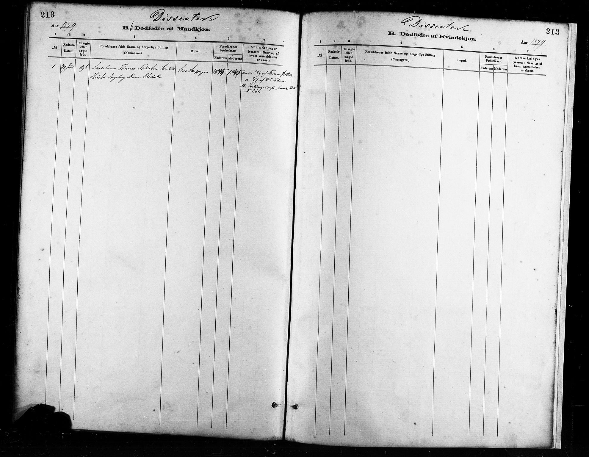 St. Petri sokneprestkontor, SAST/A-101813/001/30/30BA/L0017: Parish register (official) no. A 17, 1879-1895, p. 213