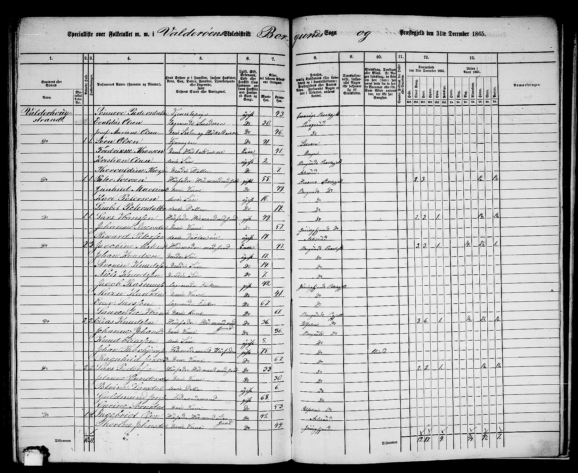 RA, 1865 census for Borgund, 1865, p. 246