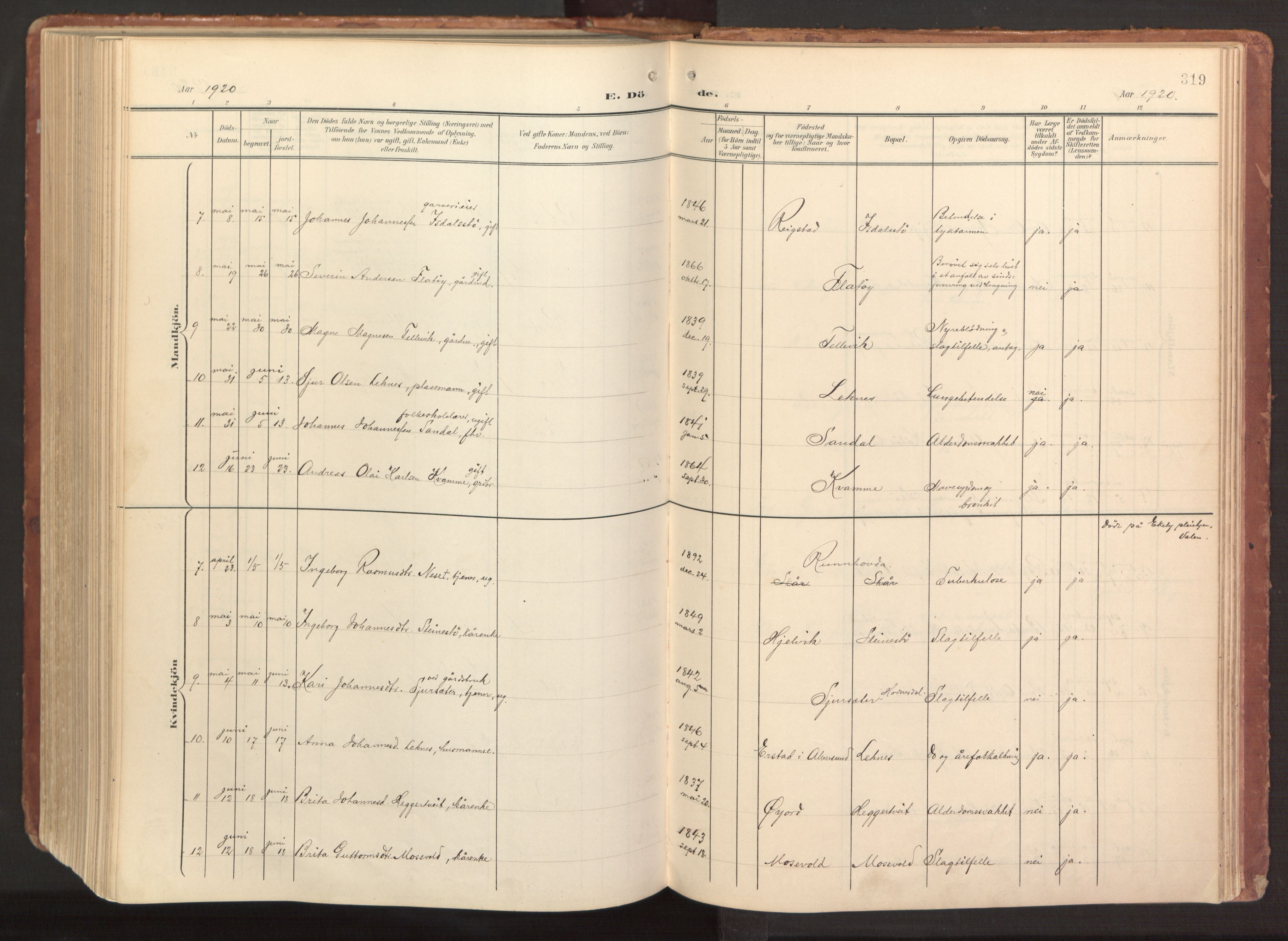 Hamre sokneprestembete, AV/SAB-A-75501/H/Ha/Haa/Haab/L0002: Parish register (official) no. B 2, 1905-1924, p. 319