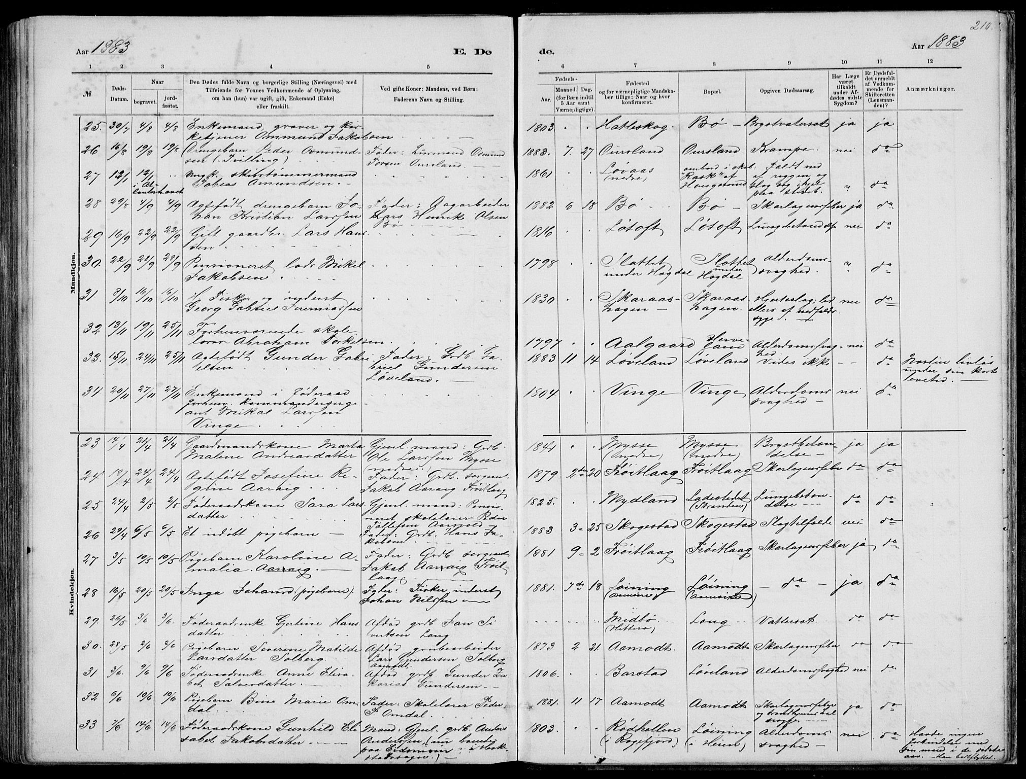 Sokndal sokneprestkontor, AV/SAST-A-101808: Parish register (copy) no. B 4, 1880-1891, p. 210