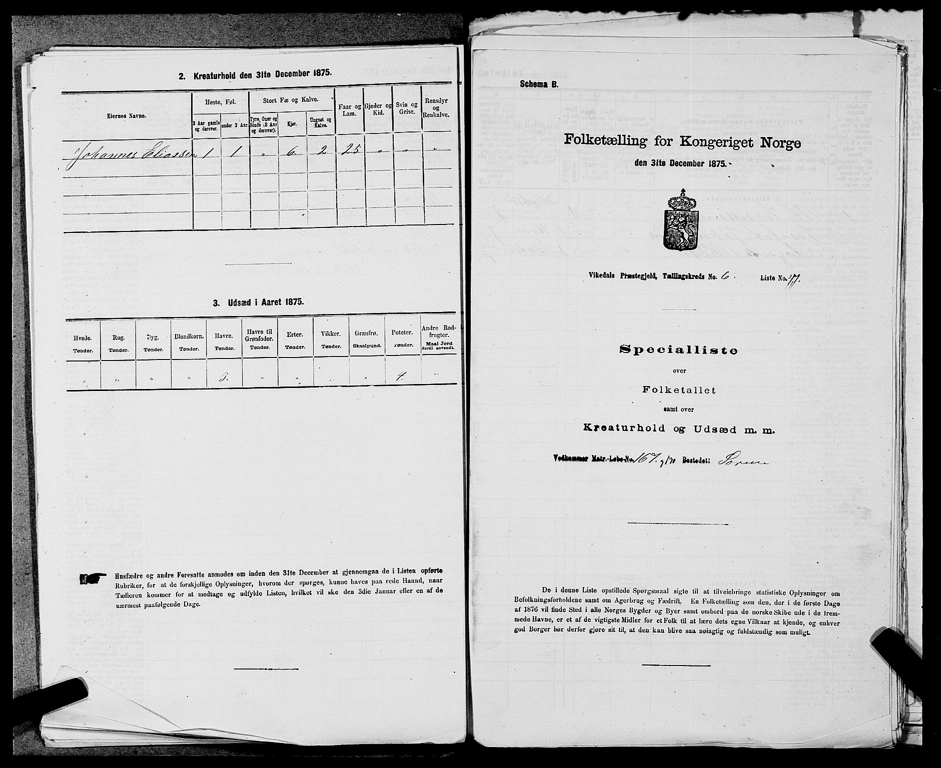 SAST, 1875 census for 1157P Vikedal, 1875, p. 750