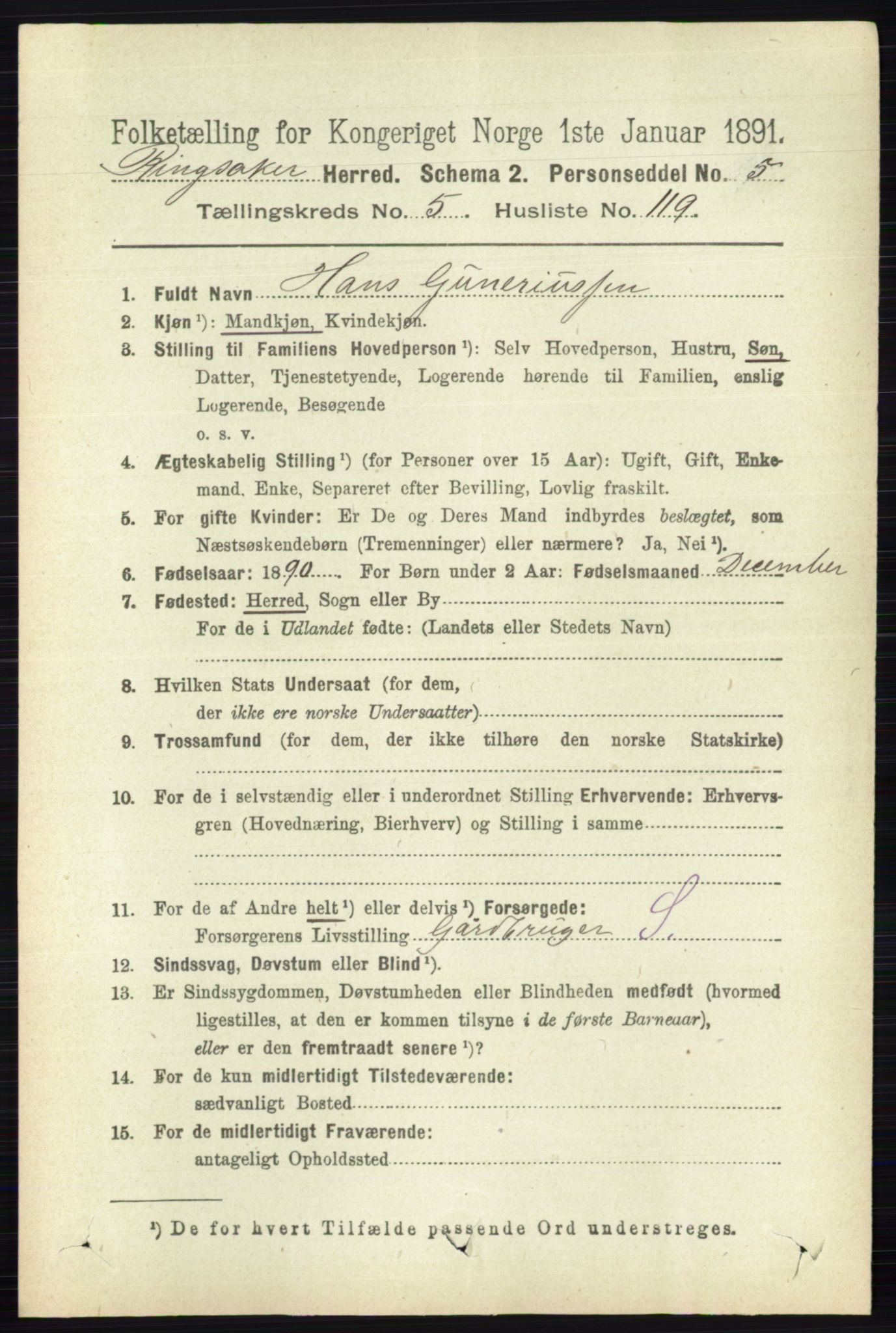 RA, 1891 census for 0412 Ringsaker, 1891, p. 3074