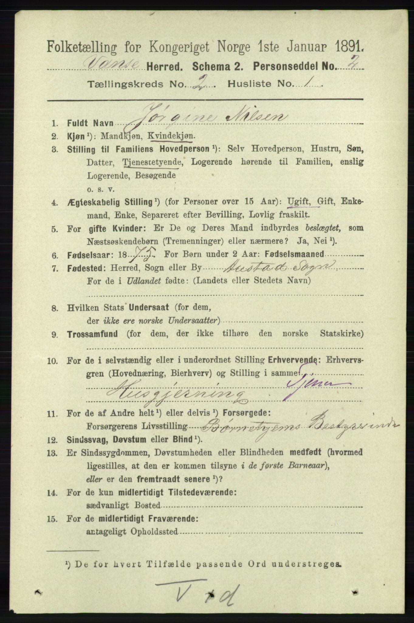 RA, 1891 census for 1041 Vanse, 1891, p. 605