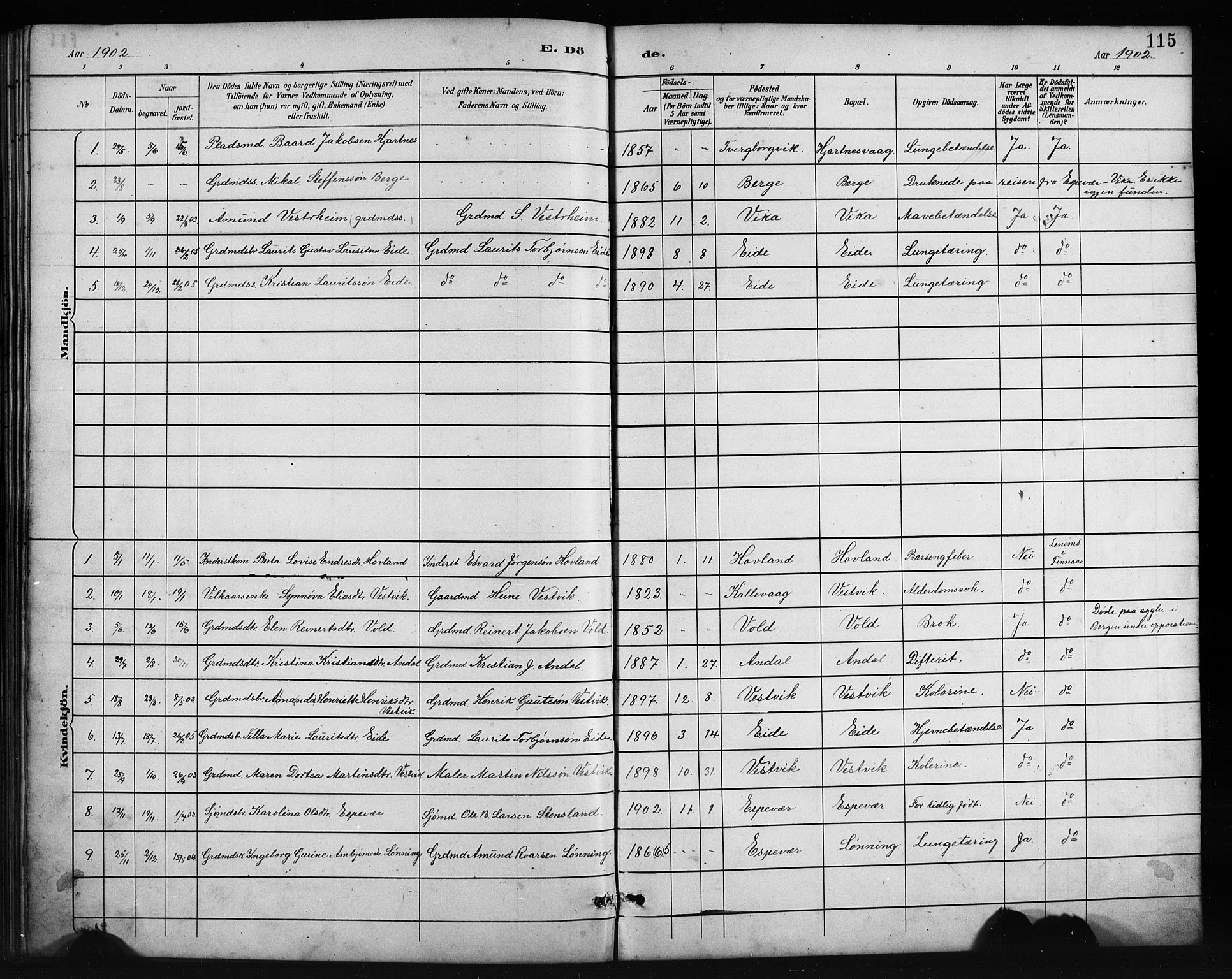 Finnås sokneprestembete, SAB/A-99925/H/Ha/Hab/Habc/L0002: Parish register (copy) no. C 2, 1887-1906, p. 115