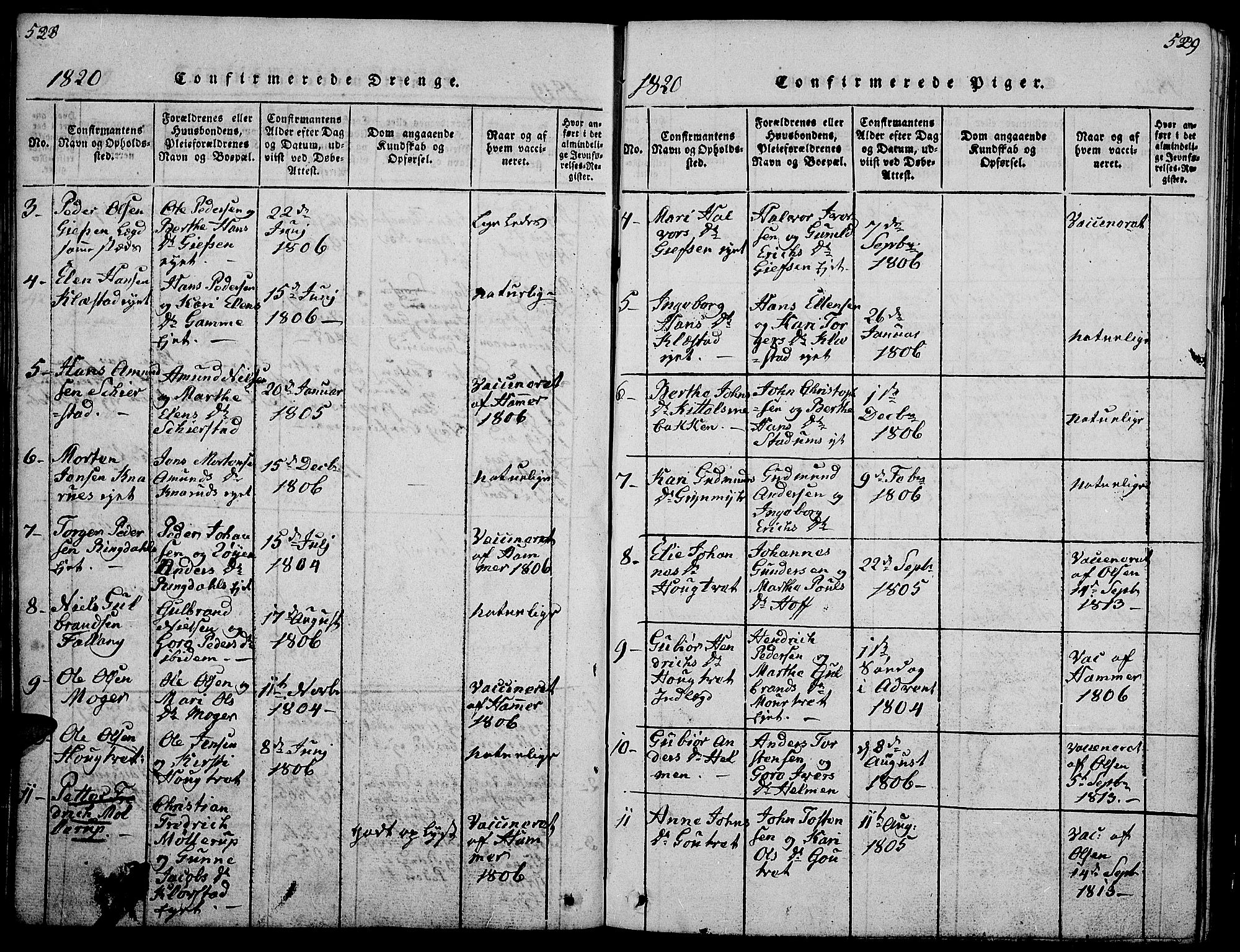 Gran prestekontor, SAH/PREST-112/H/Ha/Hab/L0001: Parish register (copy) no. 1, 1815-1824, p. 528-529