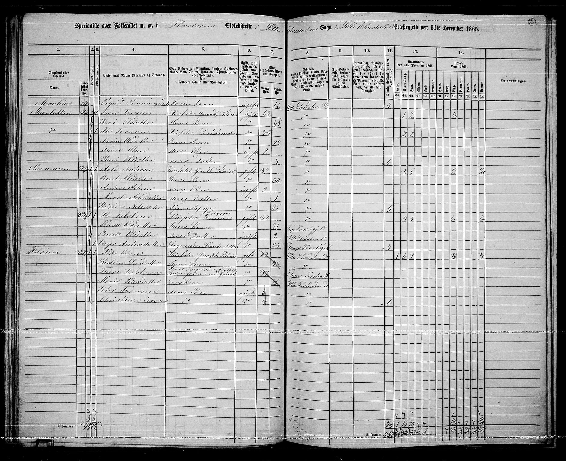 RA, 1865 census for Lille Elvedalen, 1865, p. 82