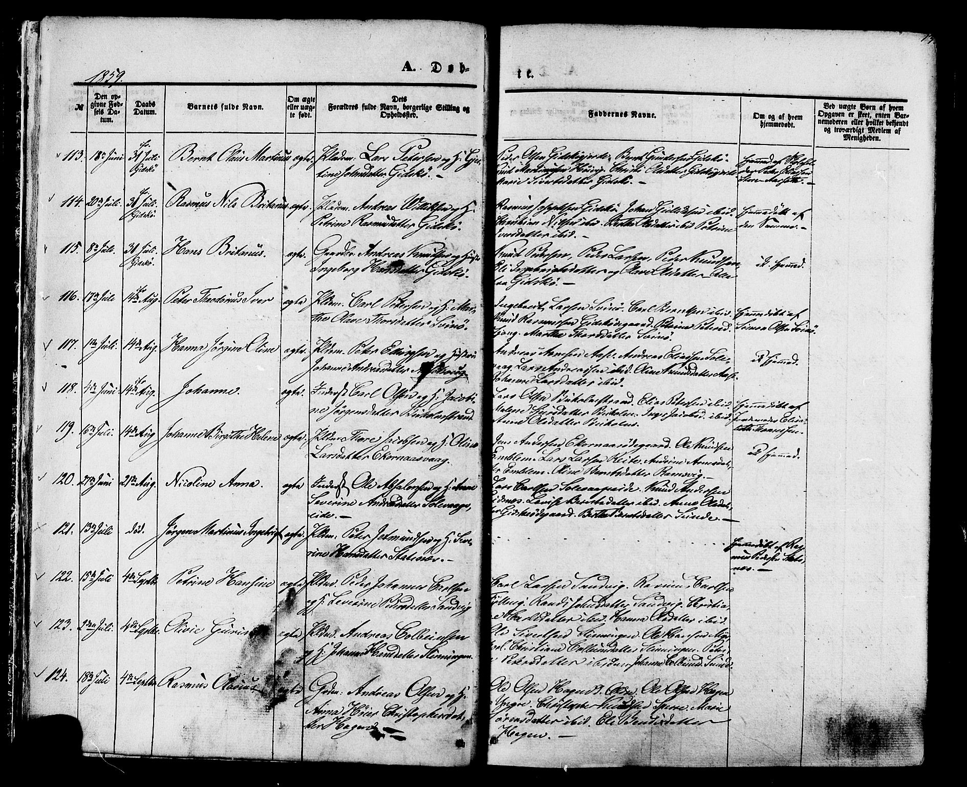 Ministerialprotokoller, klokkerbøker og fødselsregistre - Møre og Romsdal, AV/SAT-A-1454/528/L0398: Parish register (official) no. 528A09, 1858-1864, p. 13