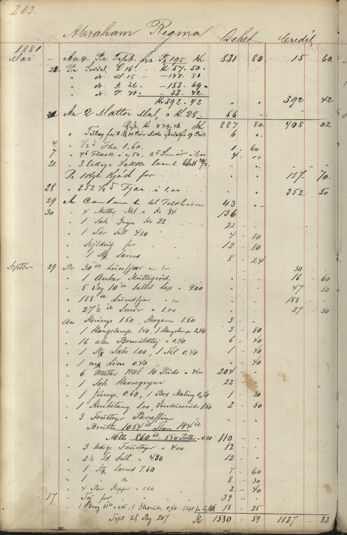 Brodtkorb handel A/S, VAMU/A-0001/F/Fc/L0001/0001: Konto for kvener og nordmenn på Kolahalvøya  / Conto for Kvæner og Nordmænd paa Russefinmarken No 1, 1868-1894, p. 203