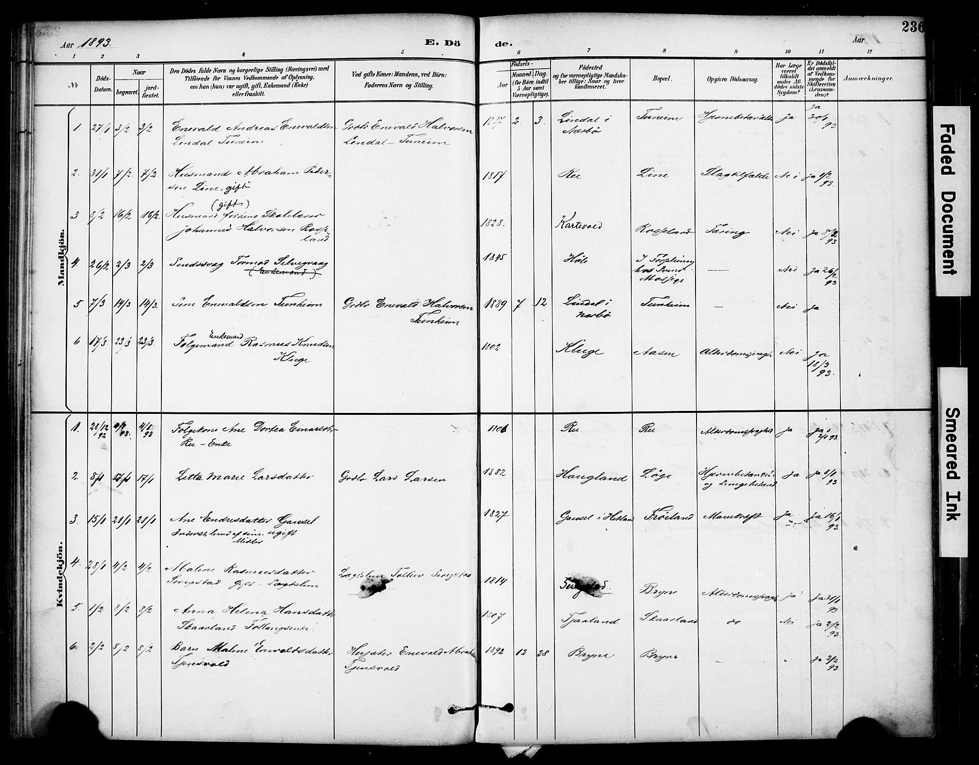 Lye sokneprestkontor, SAST/A-101794/001/30BA/L0011: Parish register (official) no. A 9, 1893-1903, p. 236