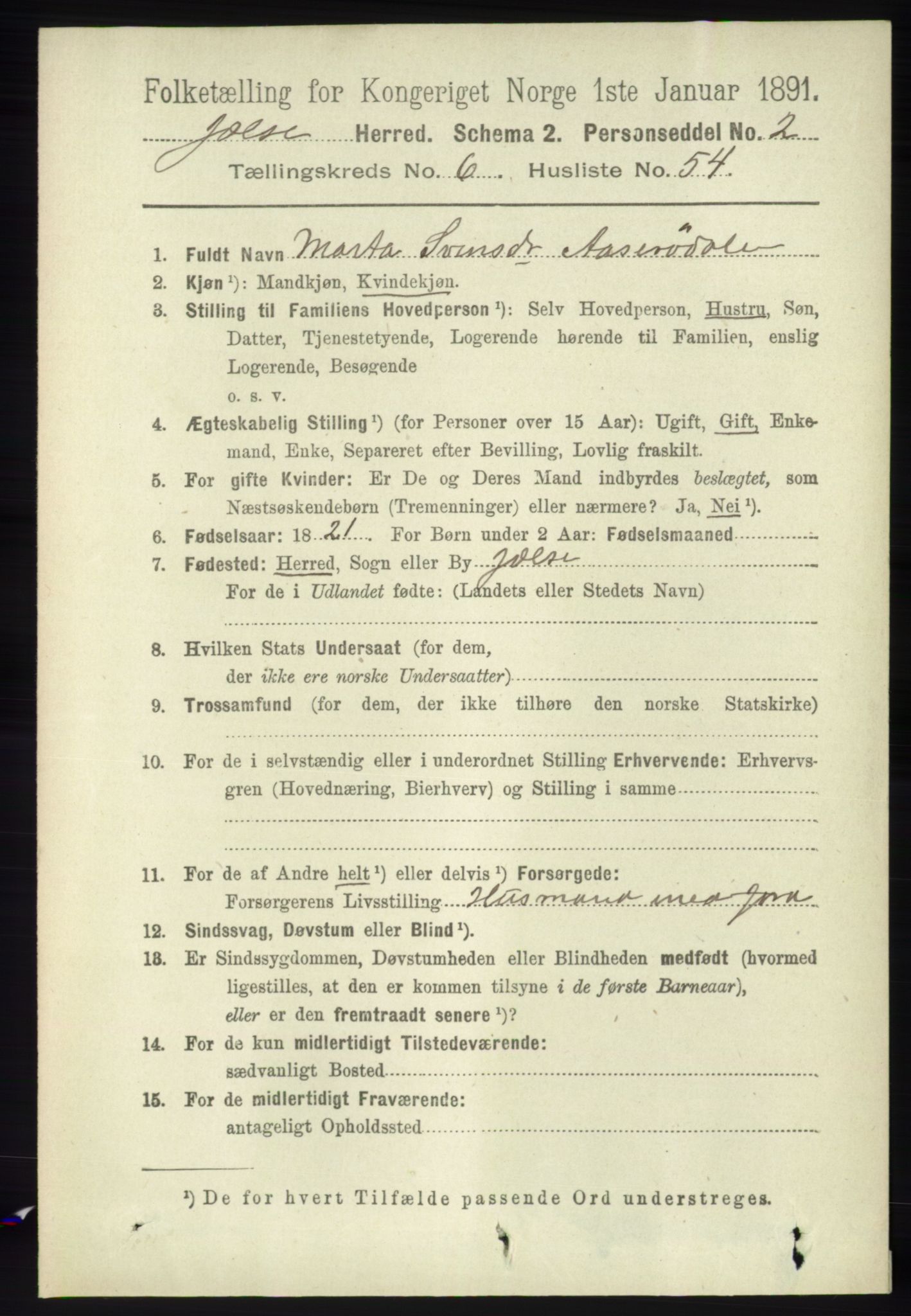 RA, 1891 census for 1138 Jelsa, 1891, p. 1493