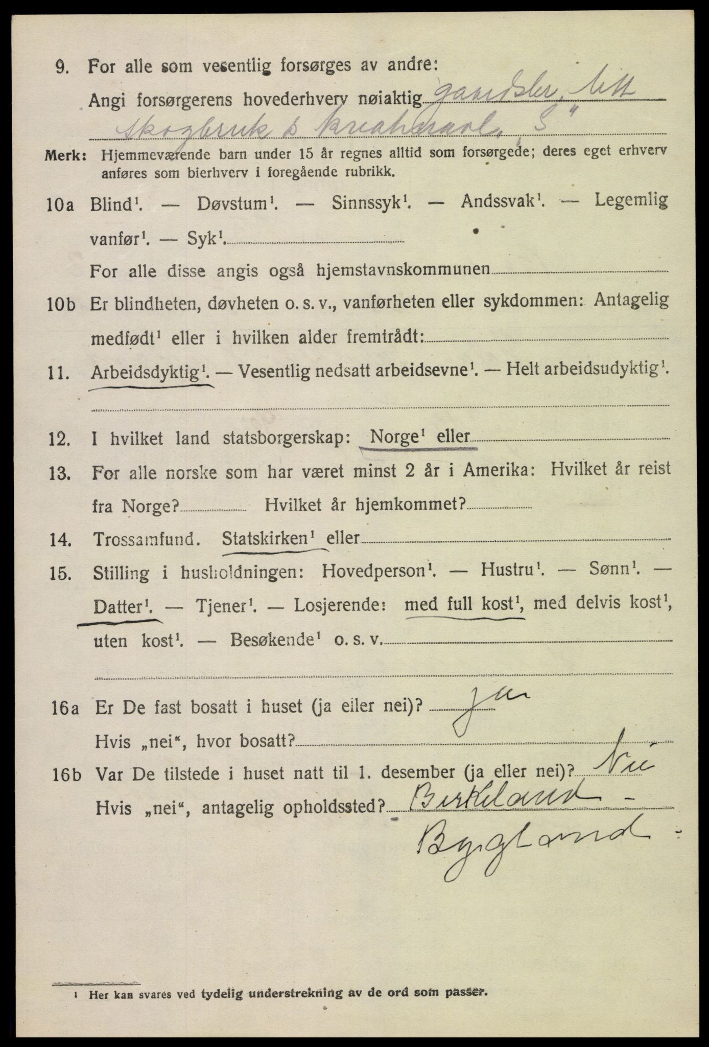 SAK, 1920 census for Bygland, 1920, p. 1458