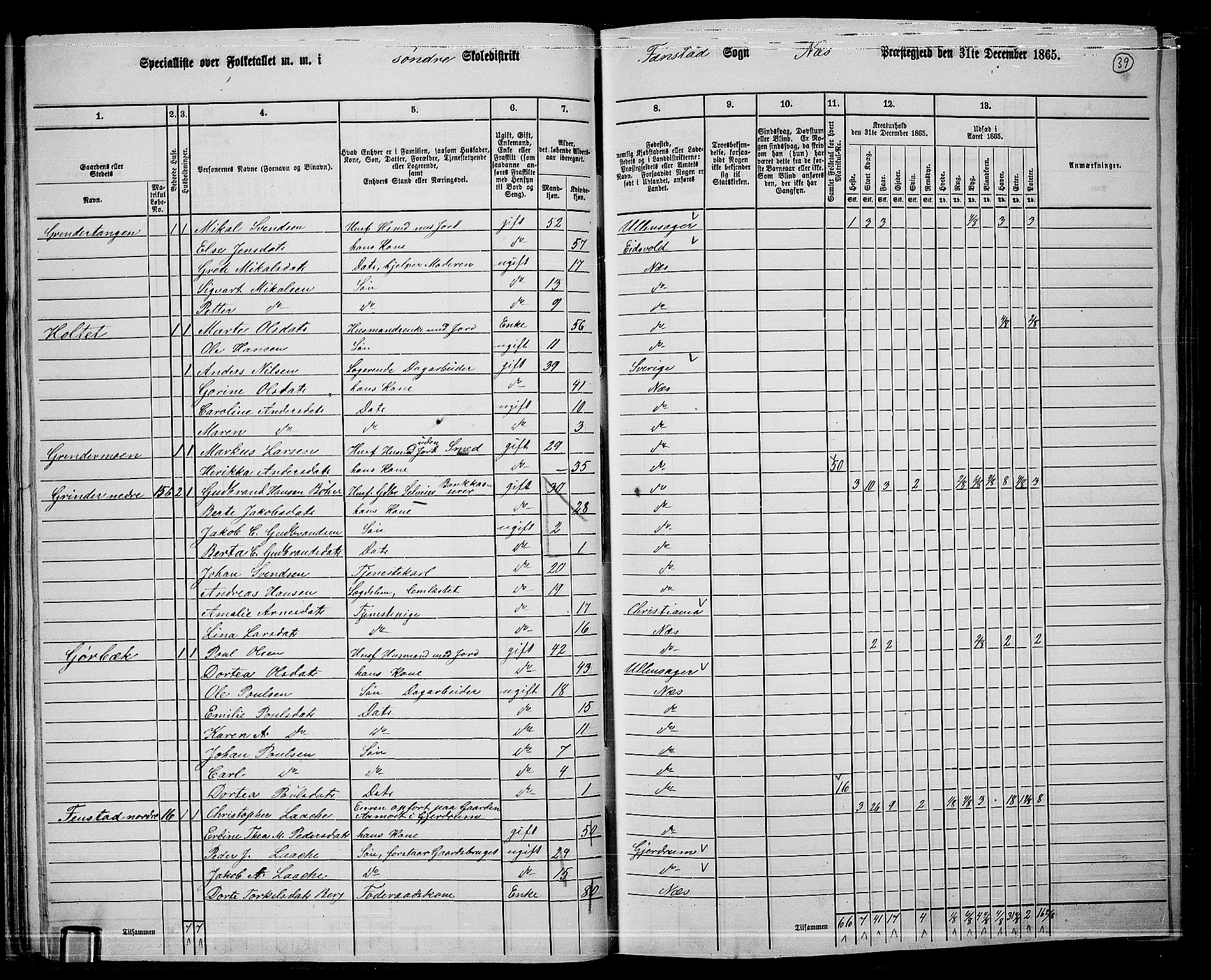 RA, 1865 census for Nes, 1865, p. 36