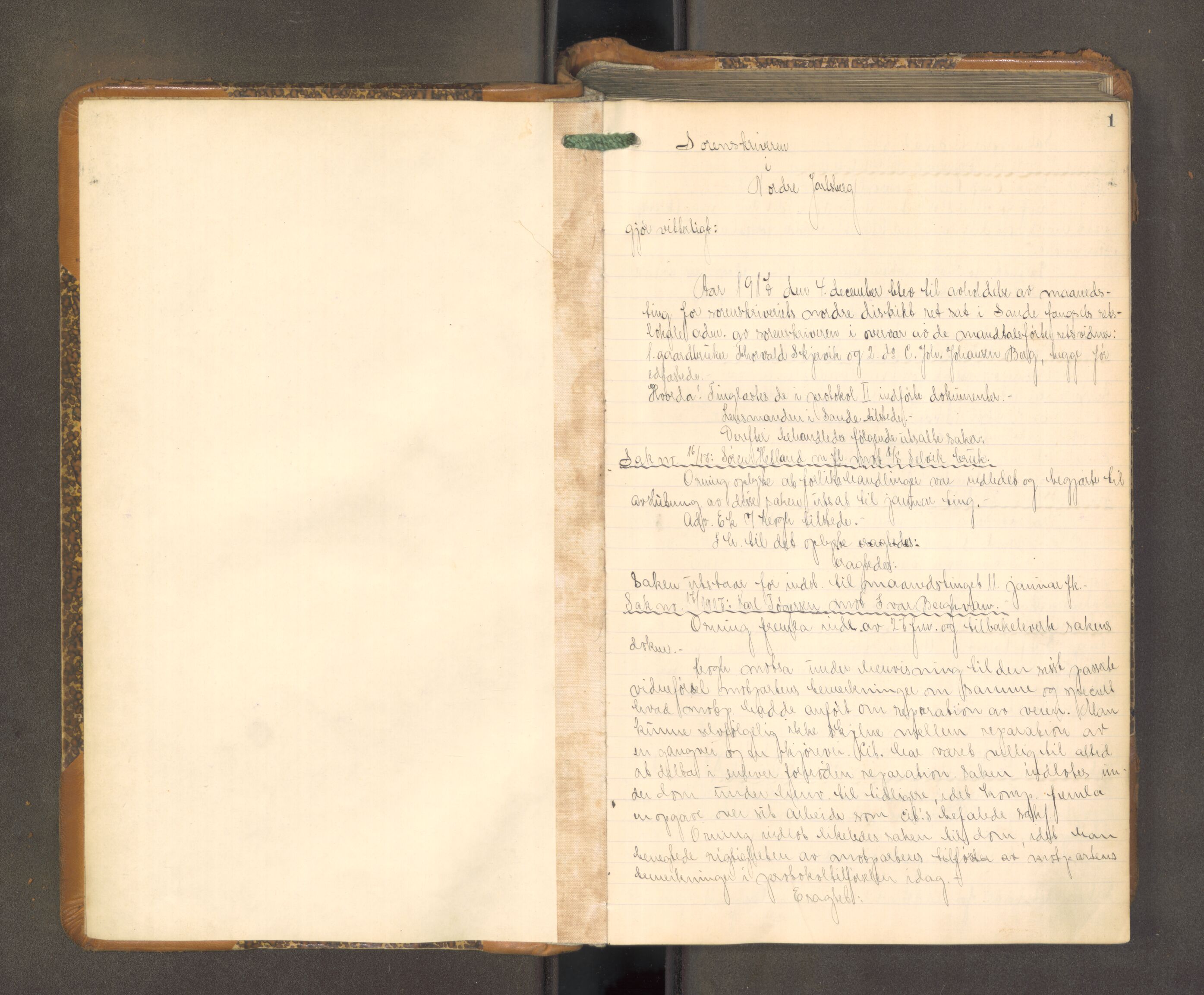 Nordre Jarlsberg sorenskriveri, AV/SAKO-A-80/F/Fa/Faa/L0056: Tingbok, 1917-1921, p. 1