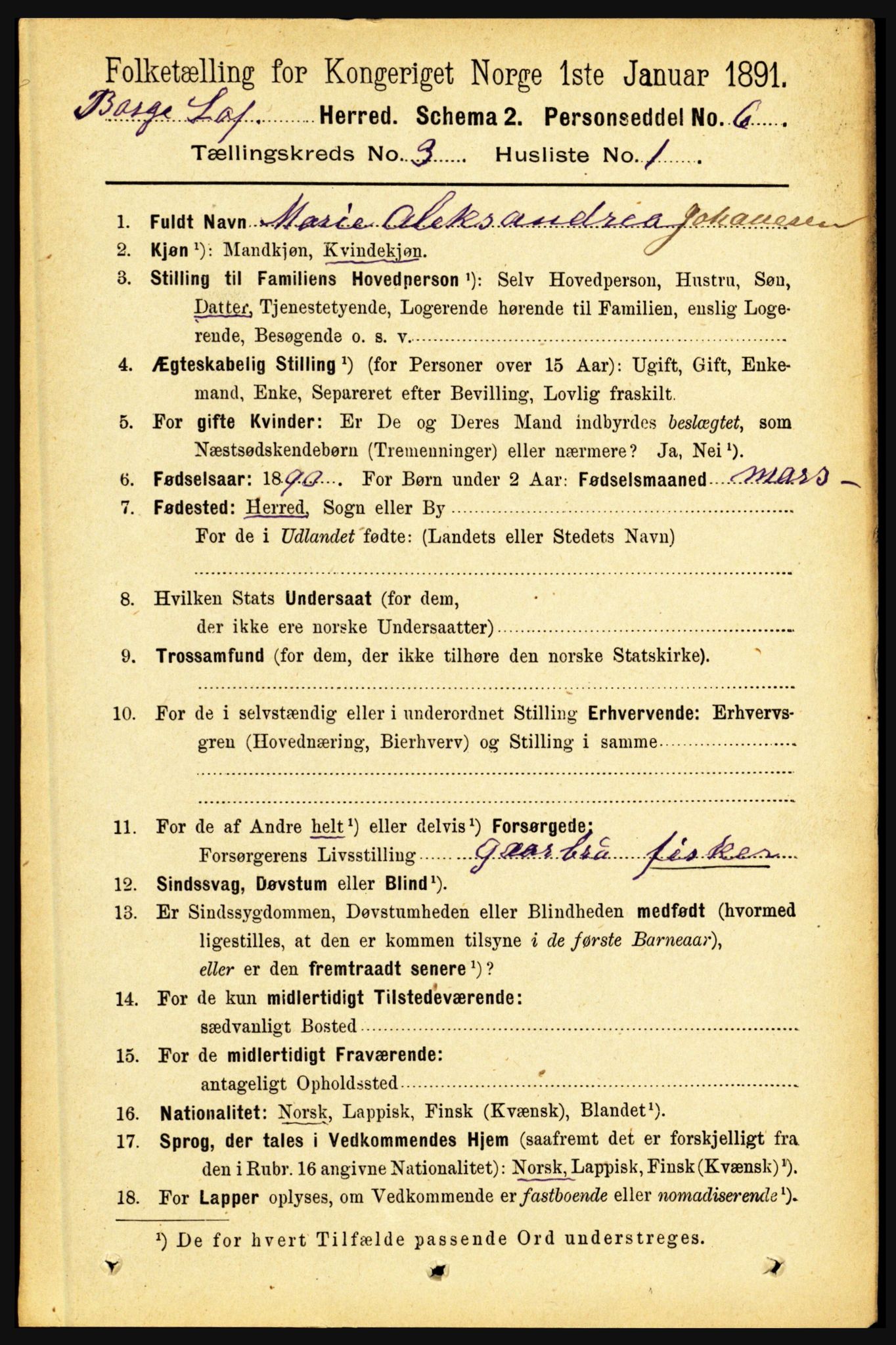 RA, 1891 census for 1862 Borge, 1891, p. 1553