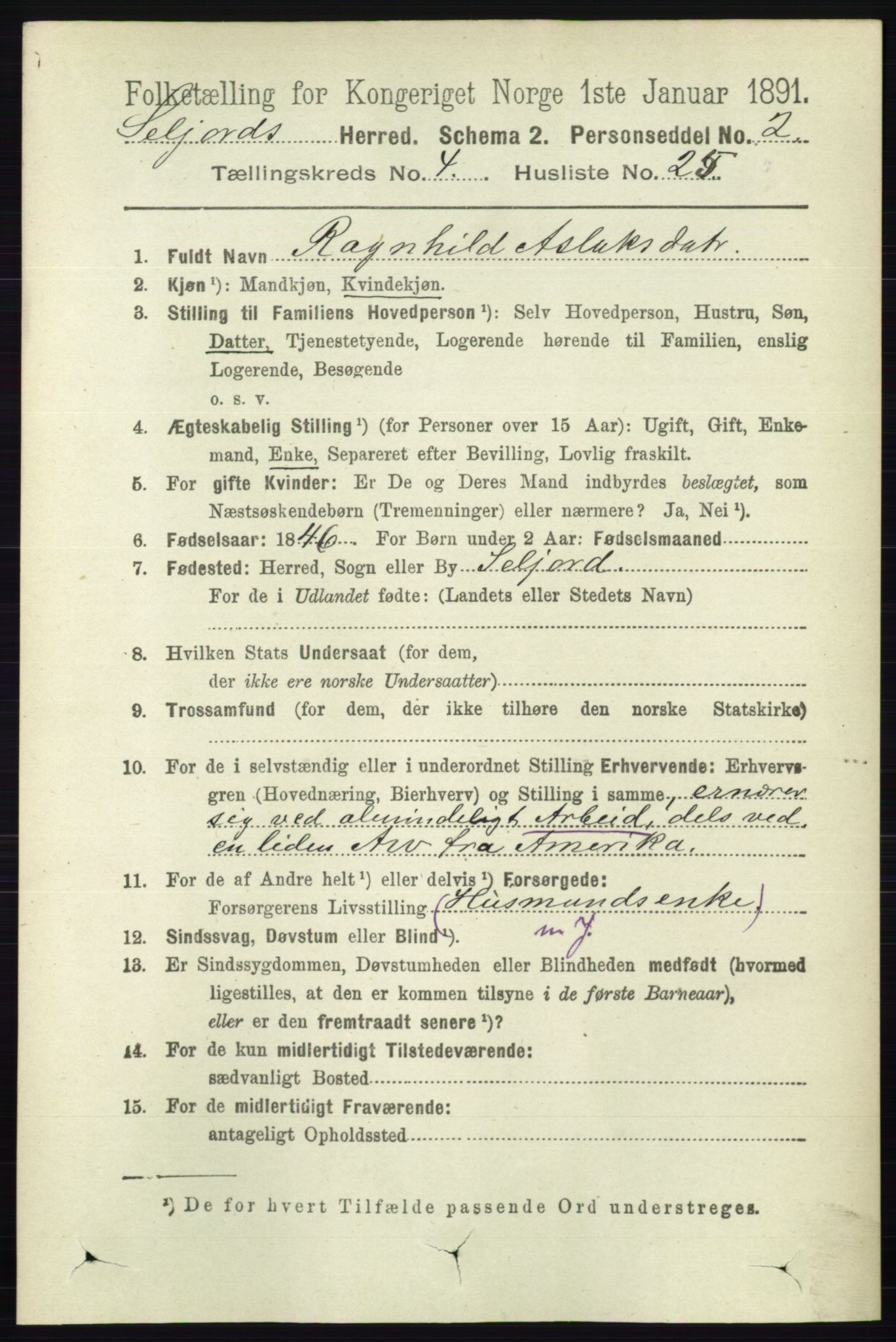 RA, 1891 census for 0828 Seljord, 1891, p. 1424