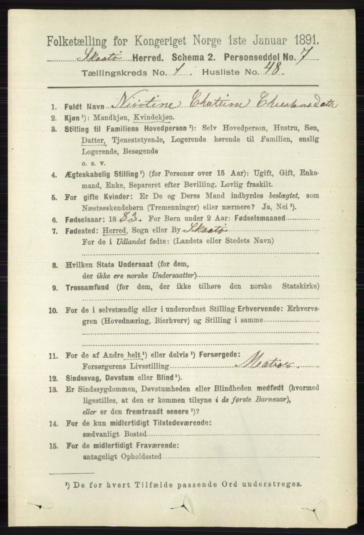 RA, 1891 census for 0815 Skåtøy, 1891, p. 375