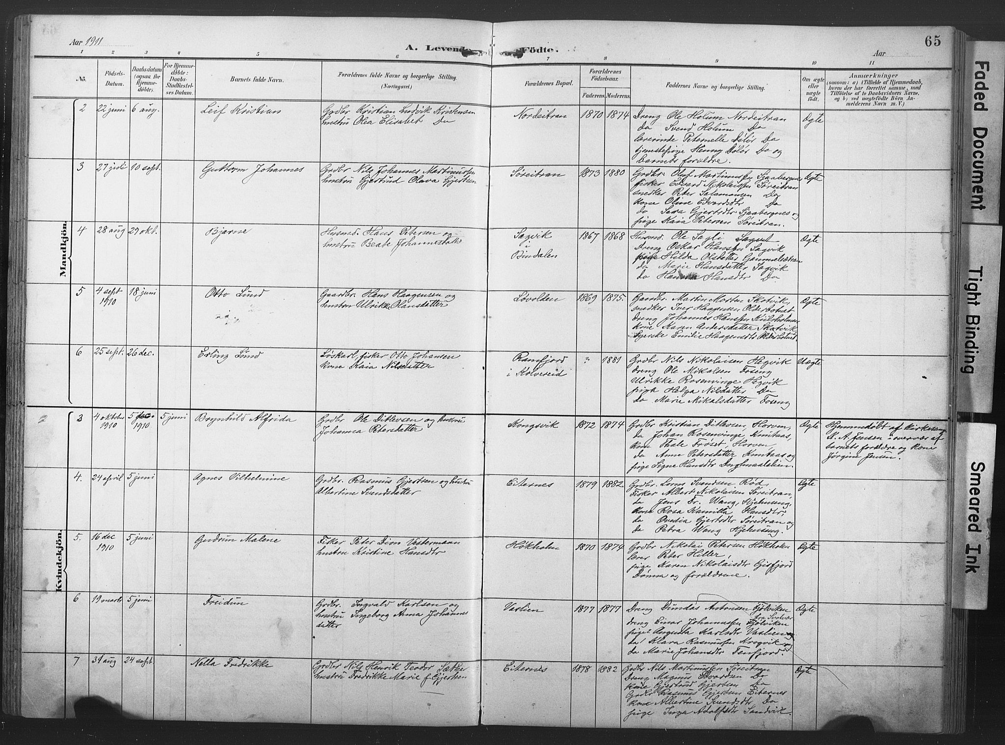 Ministerialprotokoller, klokkerbøker og fødselsregistre - Nord-Trøndelag, SAT/A-1458/789/L0706: Parish register (copy) no. 789C01, 1888-1931, p. 65