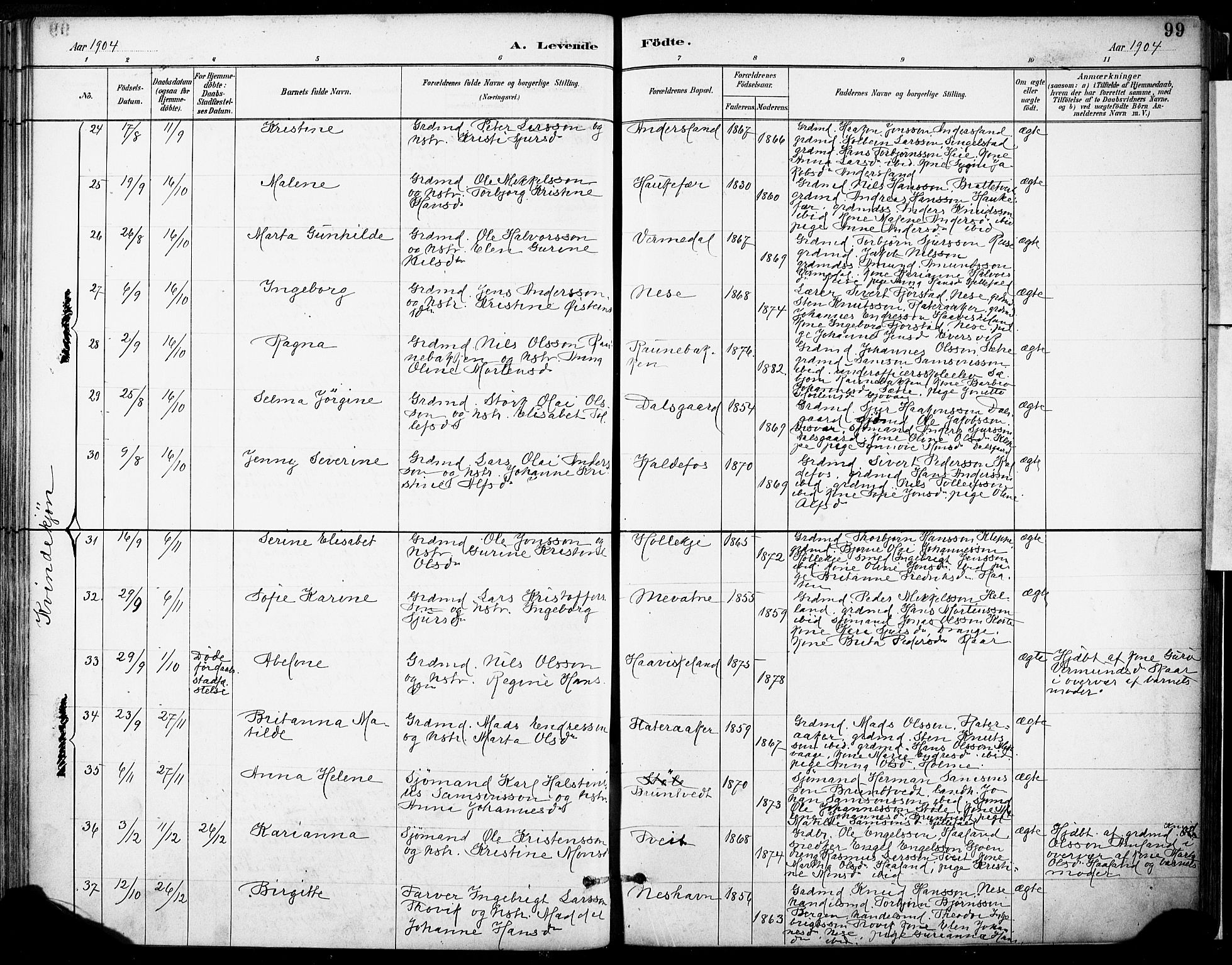 Tysnes sokneprestembete, AV/SAB-A-78601/H/Haa: Parish register (official) no. D 1, 1887-1904, p. 99