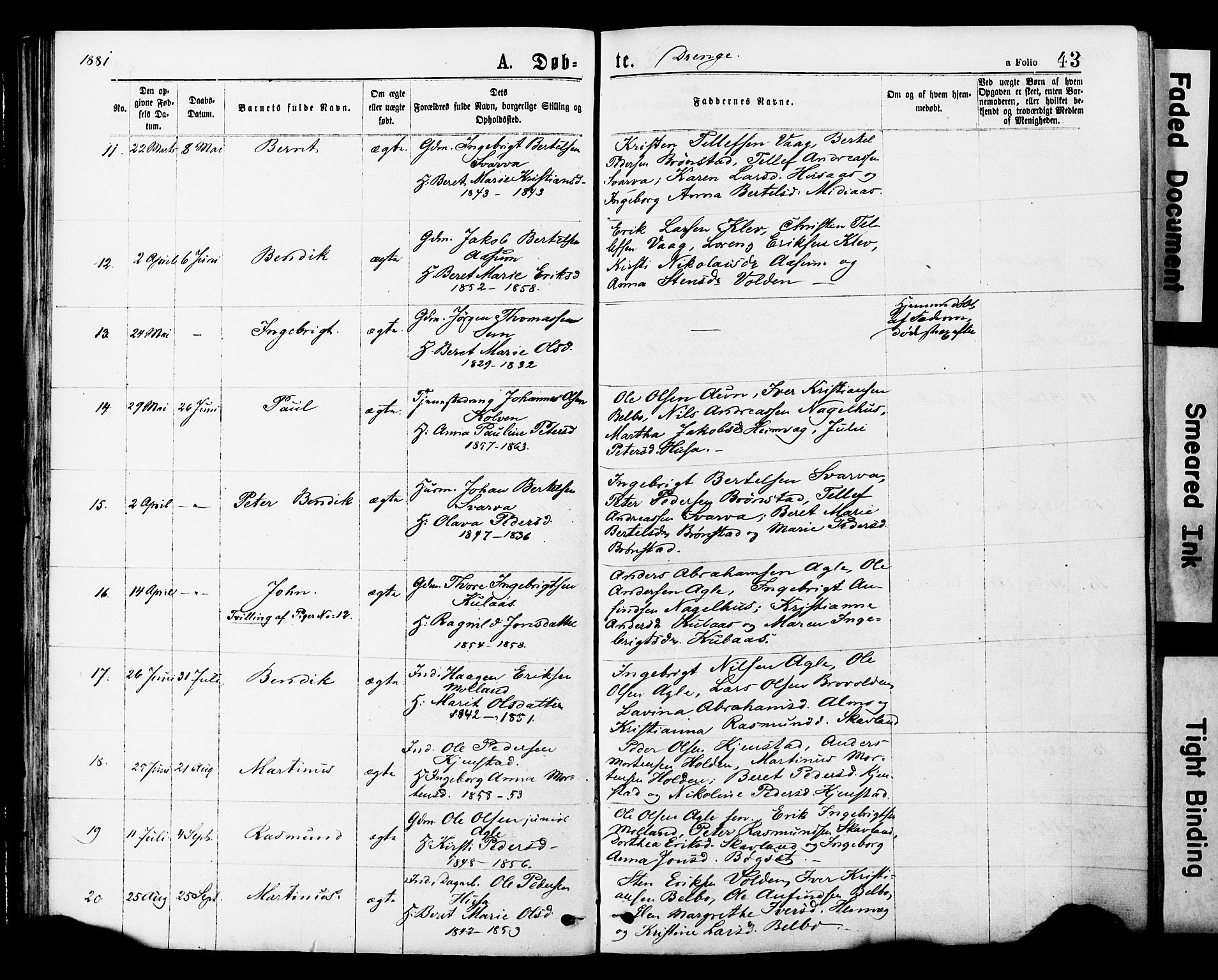 Ministerialprotokoller, klokkerbøker og fødselsregistre - Nord-Trøndelag, AV/SAT-A-1458/749/L0473: Parish register (official) no. 749A07, 1873-1887, p. 43