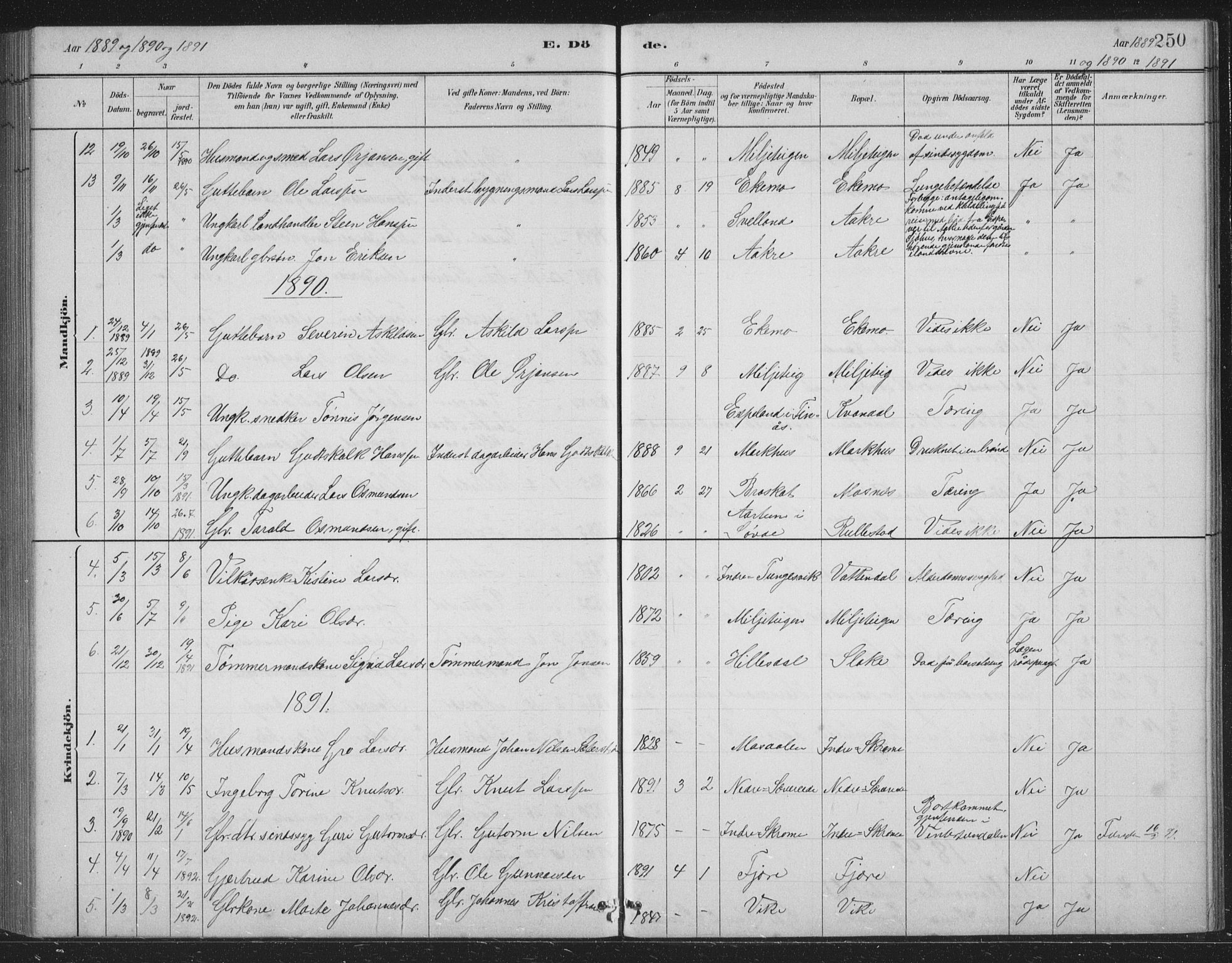 Skånevik sokneprestembete, AV/SAB-A-77801/H/Hab: Parish register (copy) no. B 2, 1881-1920, p. 250