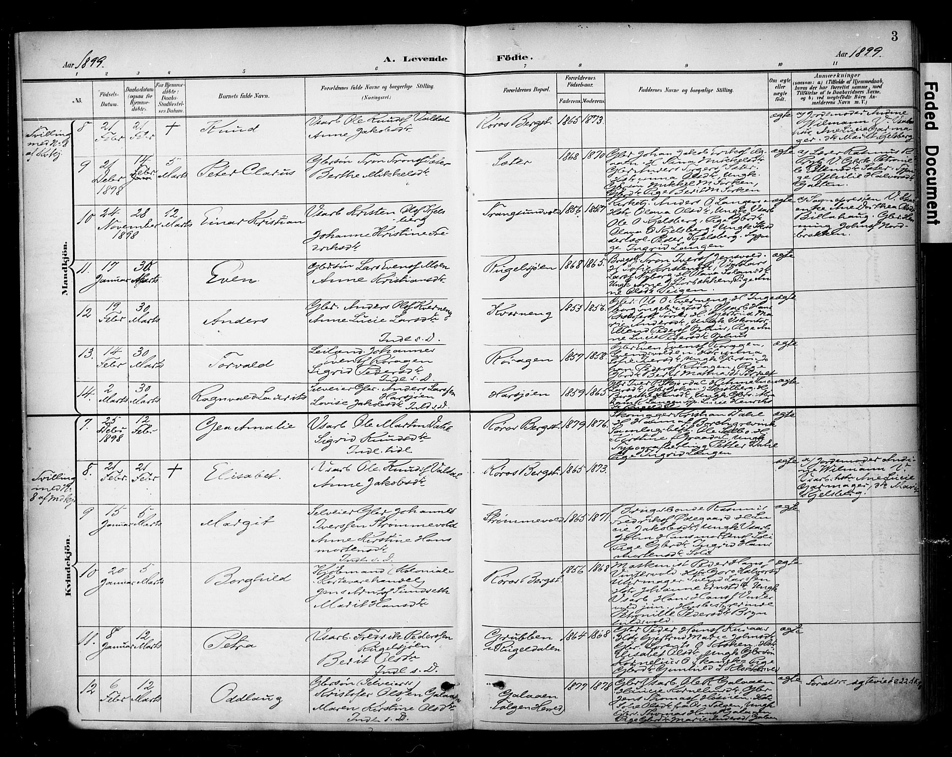 Ministerialprotokoller, klokkerbøker og fødselsregistre - Sør-Trøndelag, SAT/A-1456/681/L0936: Parish register (official) no. 681A14, 1899-1908, p. 3