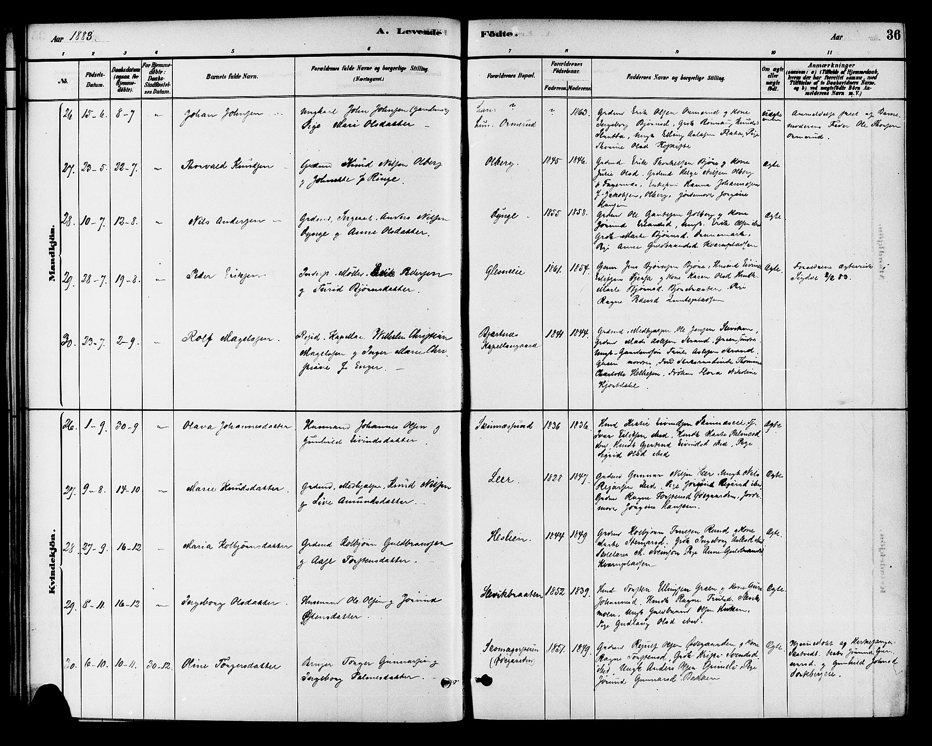 Krødsherad kirkebøker, AV/SAKO-A-19/G/Ga/L0001: Parish register (copy) no. 1, 1879-1893, p. 36