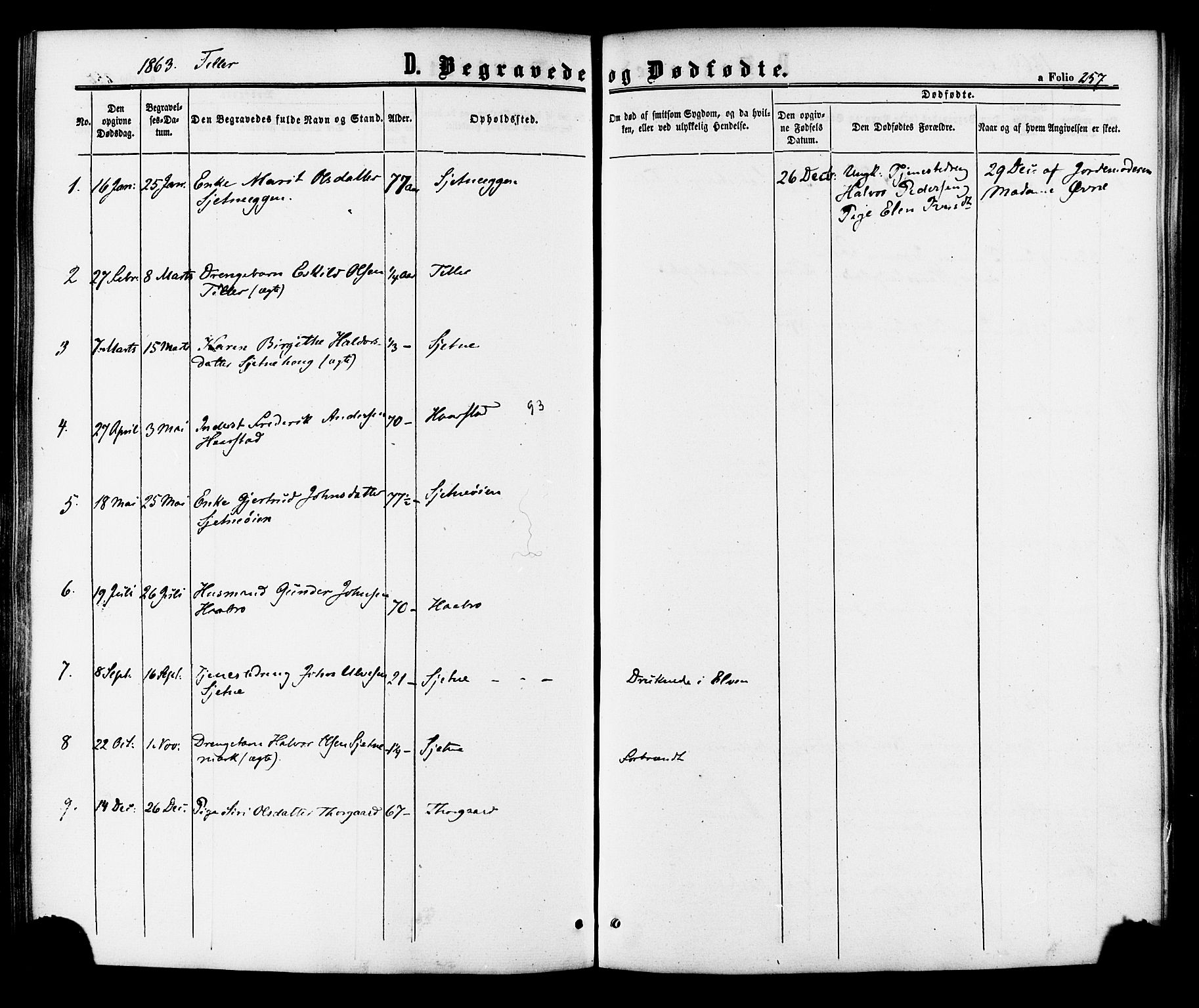 Ministerialprotokoller, klokkerbøker og fødselsregistre - Sør-Trøndelag, SAT/A-1456/618/L0443: Parish register (official) no. 618A06 /2, 1863-1879, p. 257