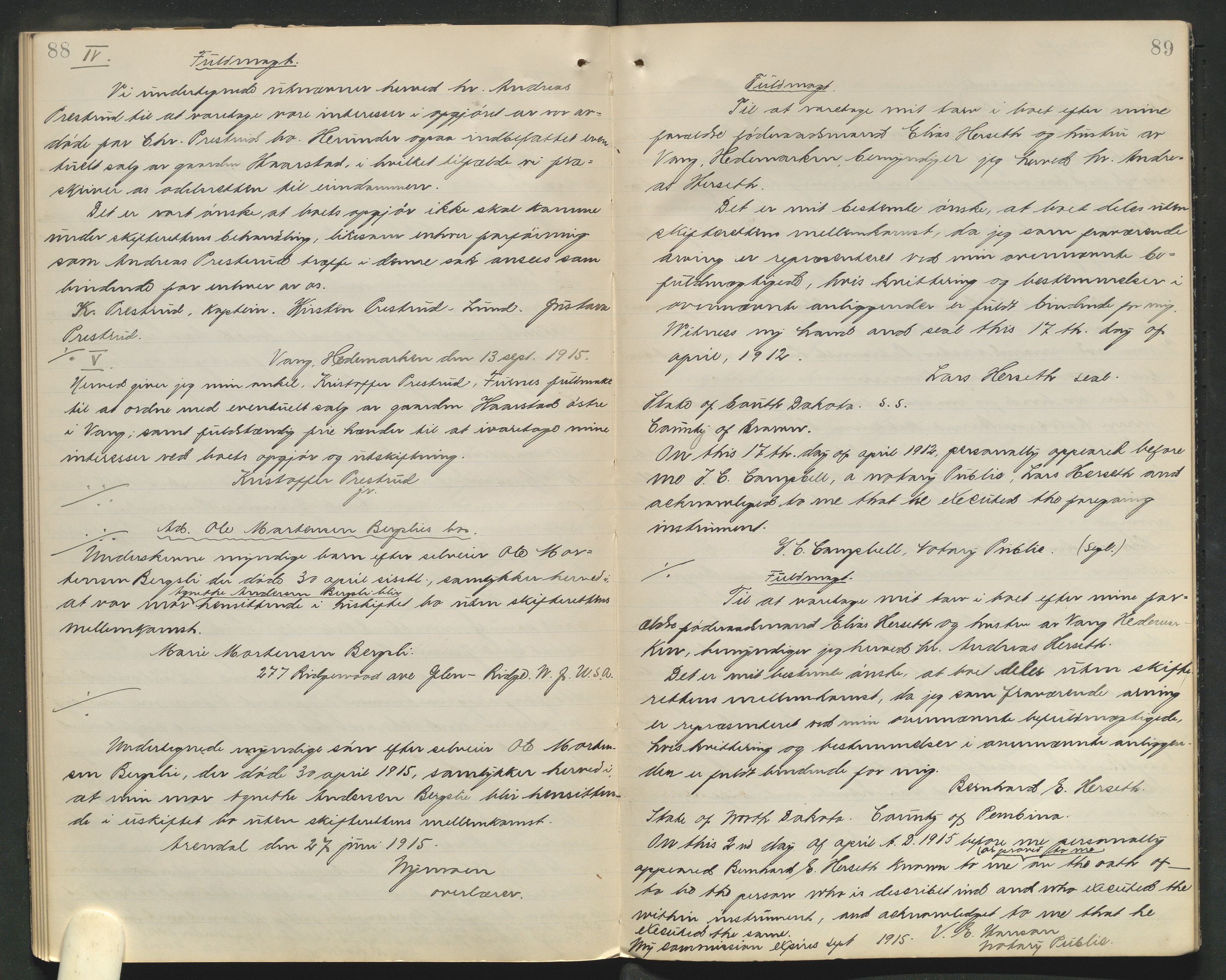 Nord-Hedmark sorenskriveri, AV/SAH-TING-012/J/Ji/L0010: Dødsfallsprotokoll - Vang, 1913-1916, p. 88-89