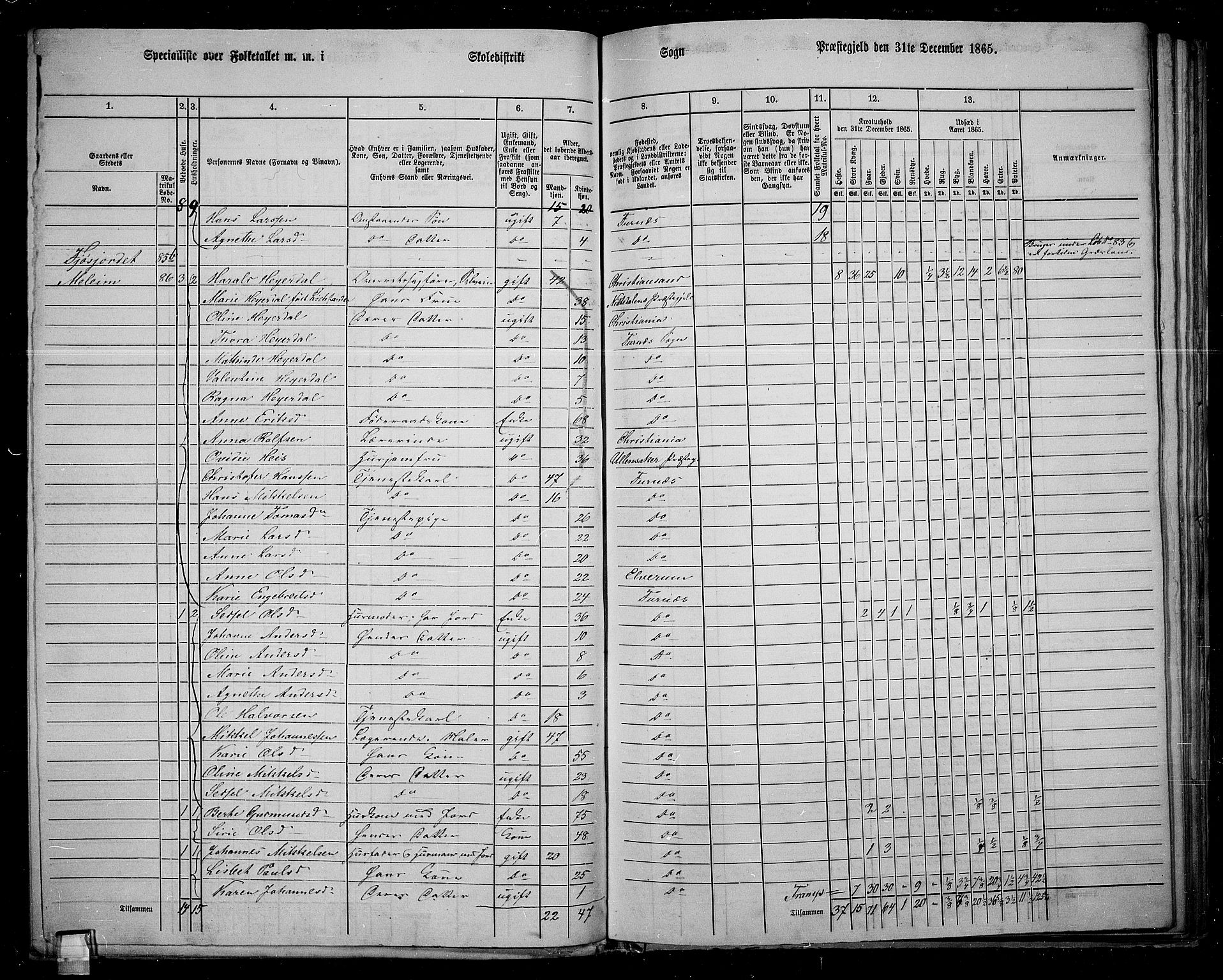 RA, 1865 census for Vang/Vang og Furnes, 1865, p. 90