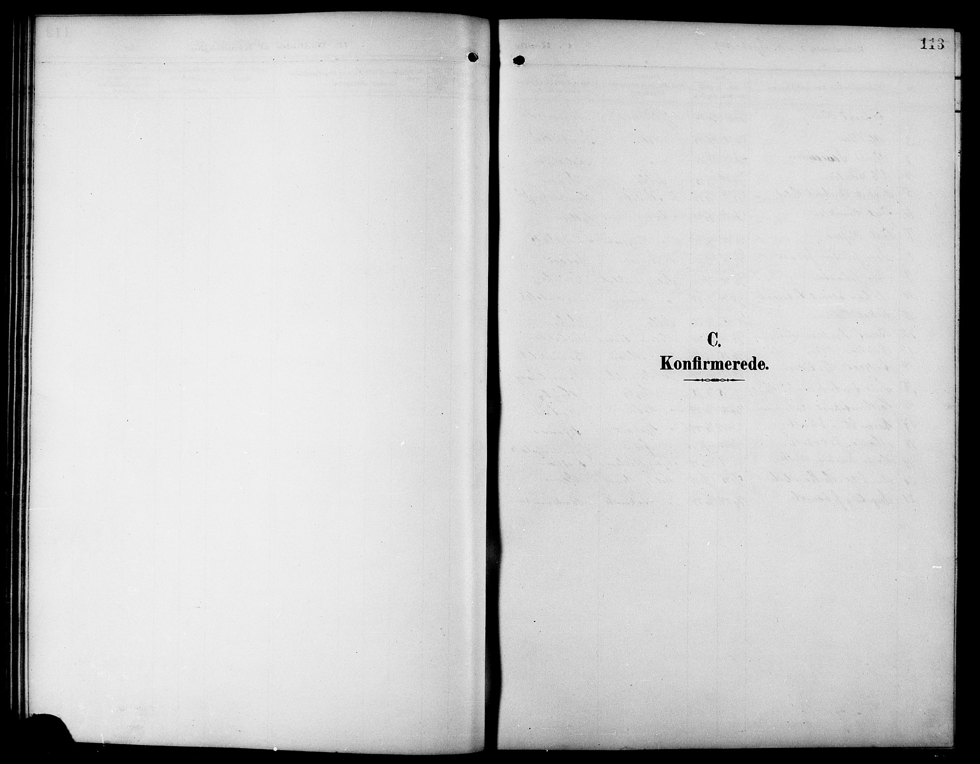 Ministerialprotokoller, klokkerbøker og fødselsregistre - Sør-Trøndelag, SAT/A-1456/617/L0431: Parish register (copy) no. 617C01, 1889-1910, p. 113