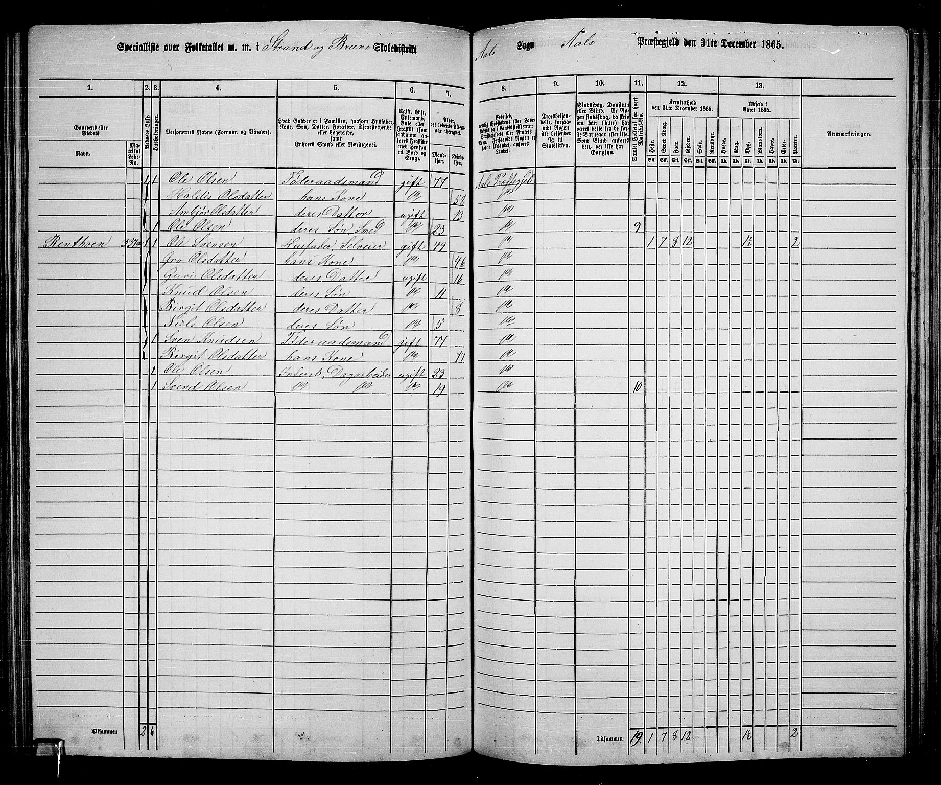 RA, 1865 census for Ål, 1865, p. 166