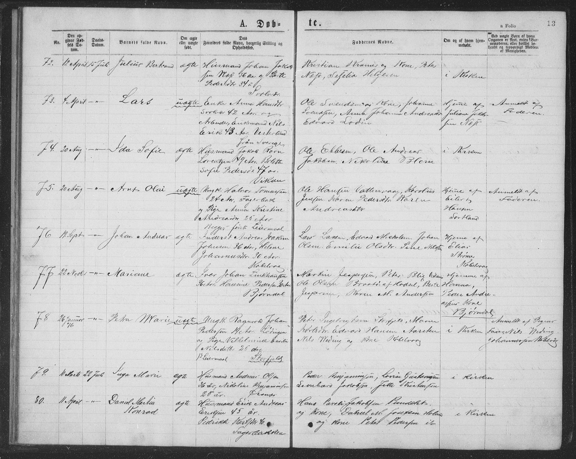 Ministerialprotokoller, klokkerbøker og fødselsregistre - Nordland, AV/SAT-A-1459/874/L1075: Parish register (copy) no. 874C04, 1876-1883, p. 13