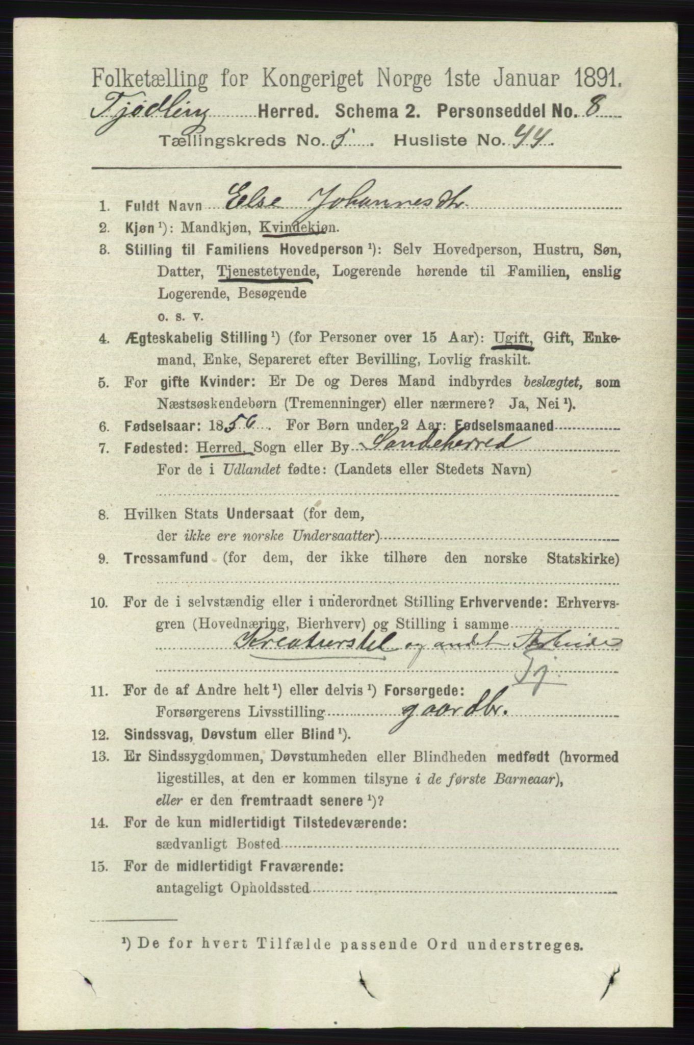 RA, 1891 census for 0725 Tjølling, 1891, p. 2262