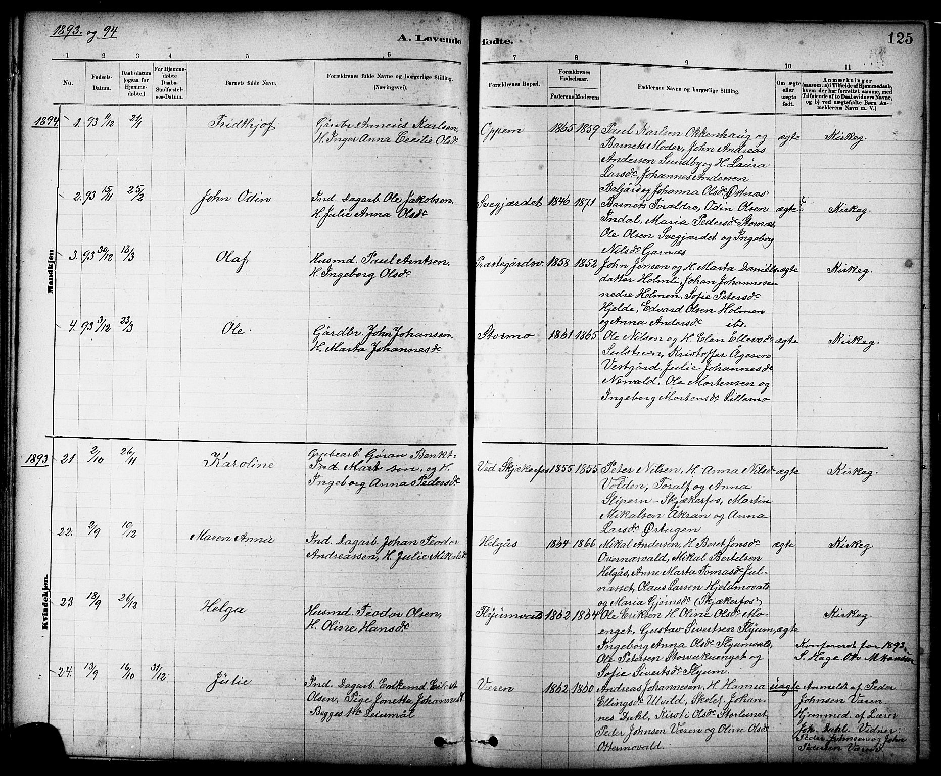 Ministerialprotokoller, klokkerbøker og fødselsregistre - Nord-Trøndelag, AV/SAT-A-1458/724/L0267: Parish register (copy) no. 724C03, 1879-1898, p. 125