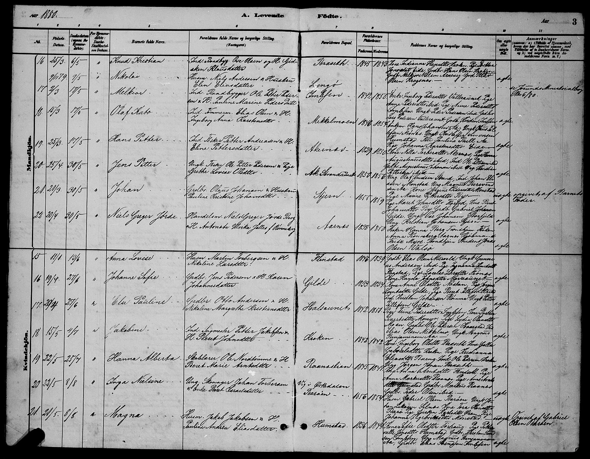 Ministerialprotokoller, klokkerbøker og fødselsregistre - Sør-Trøndelag, AV/SAT-A-1456/655/L0687: Parish register (copy) no. 655C03, 1880-1898, p. 3