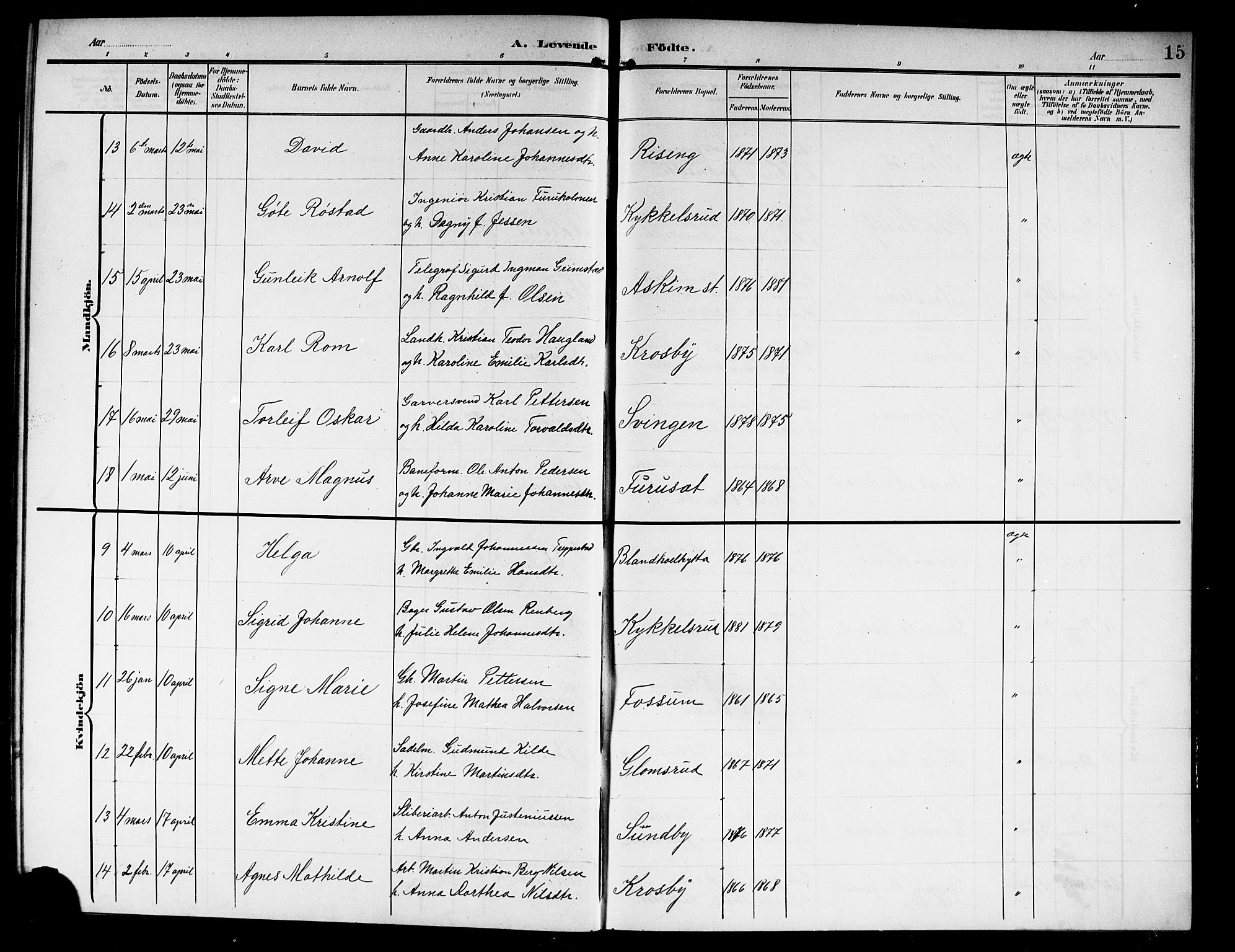 Askim prestekontor Kirkebøker, AV/SAO-A-10900/G/Ga/L0002: Parish register (copy) no. 2, 1903-1921, p. 15