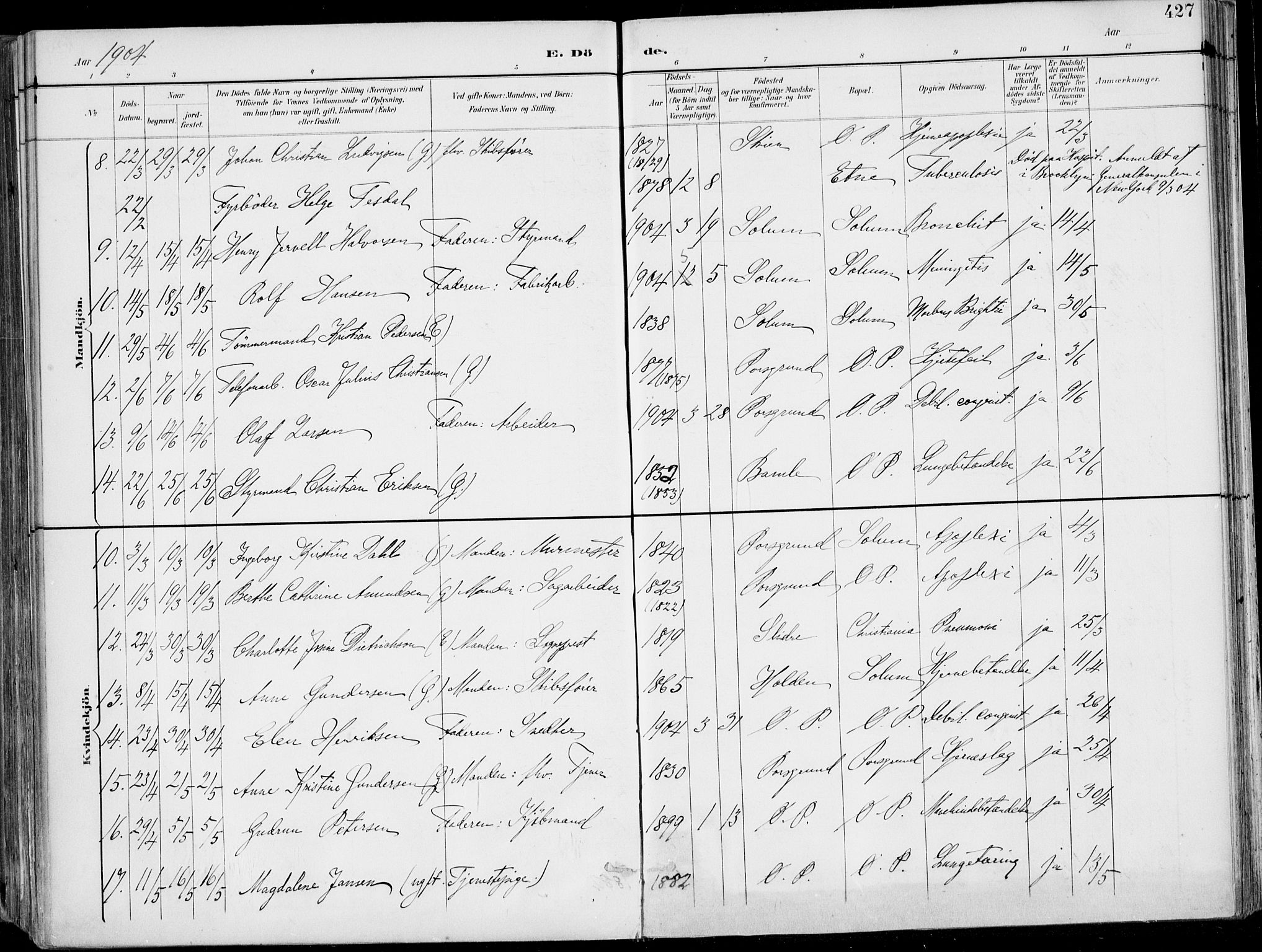 Porsgrunn kirkebøker , AV/SAKO-A-104/F/Fa/L0011: Parish register (official) no. 11, 1895-1919, p. 427