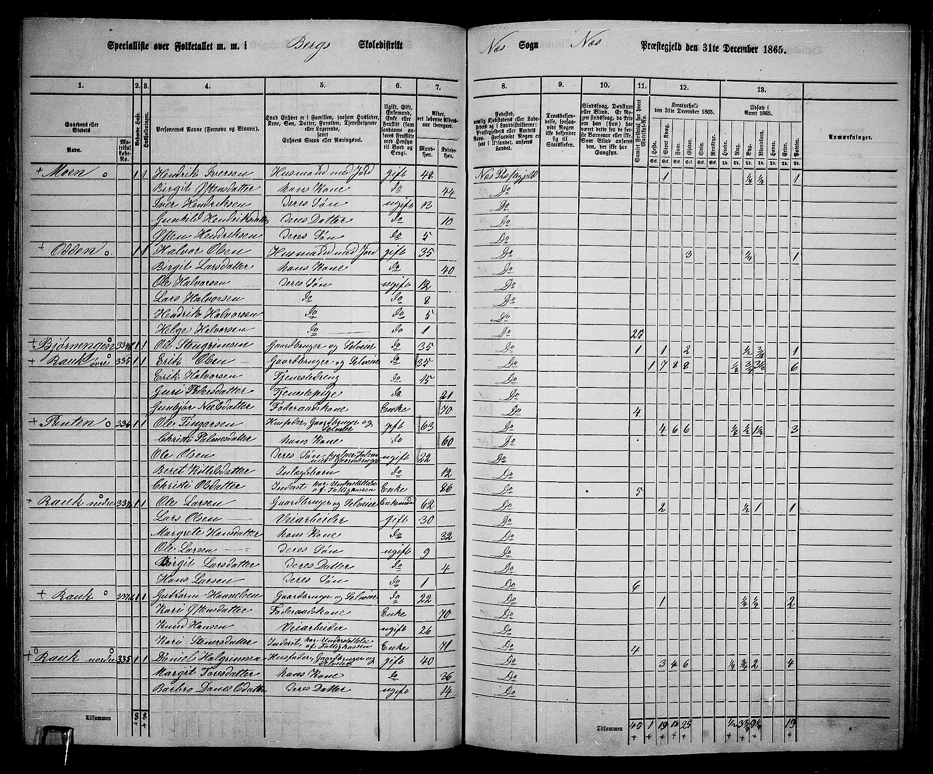 RA, 1865 census for Nes, 1865, p. 101