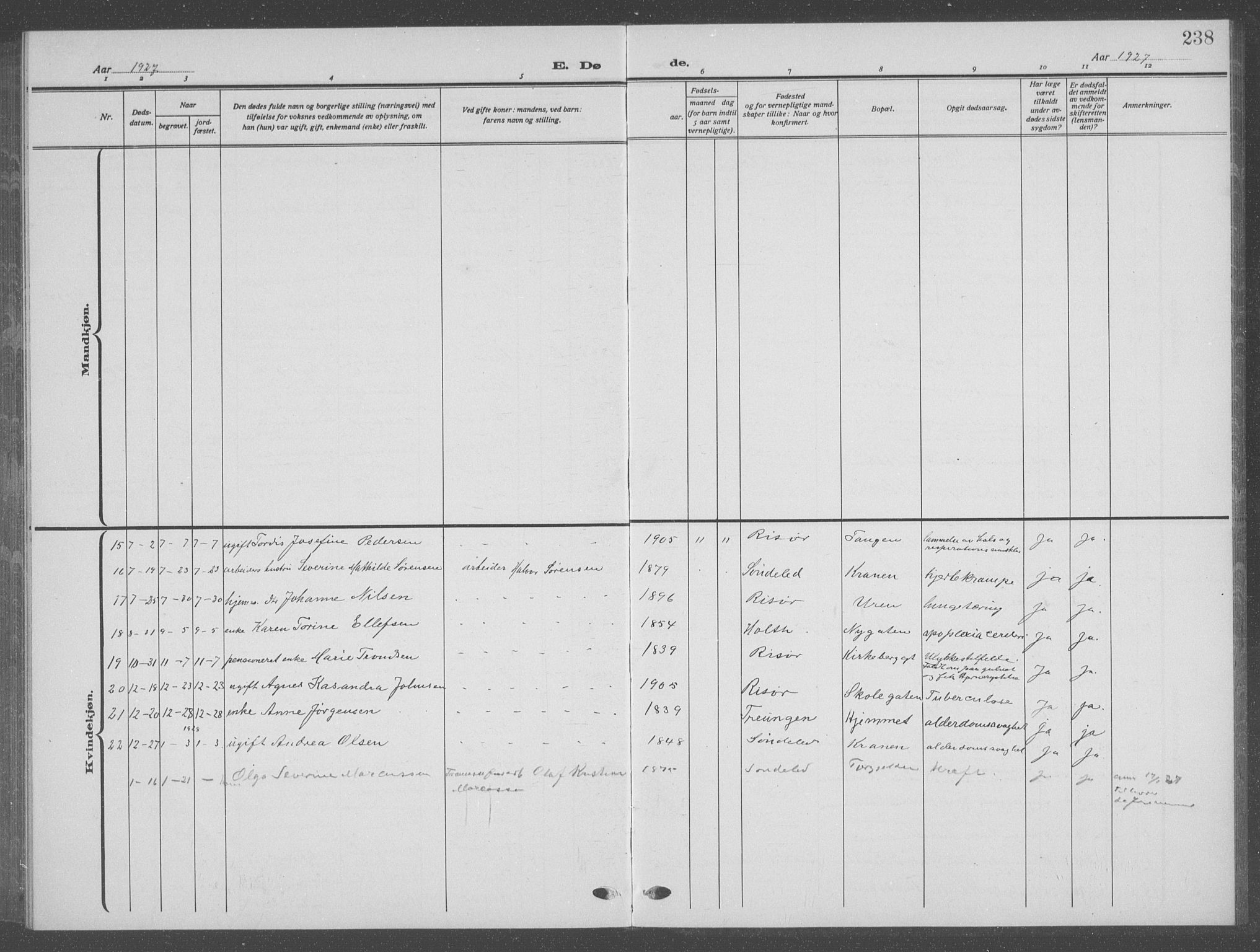 Risør sokneprestkontor, SAK/1111-0035/F/Fb/L0009: Parish register (copy) no. B 9, 1922-1939, p. 238